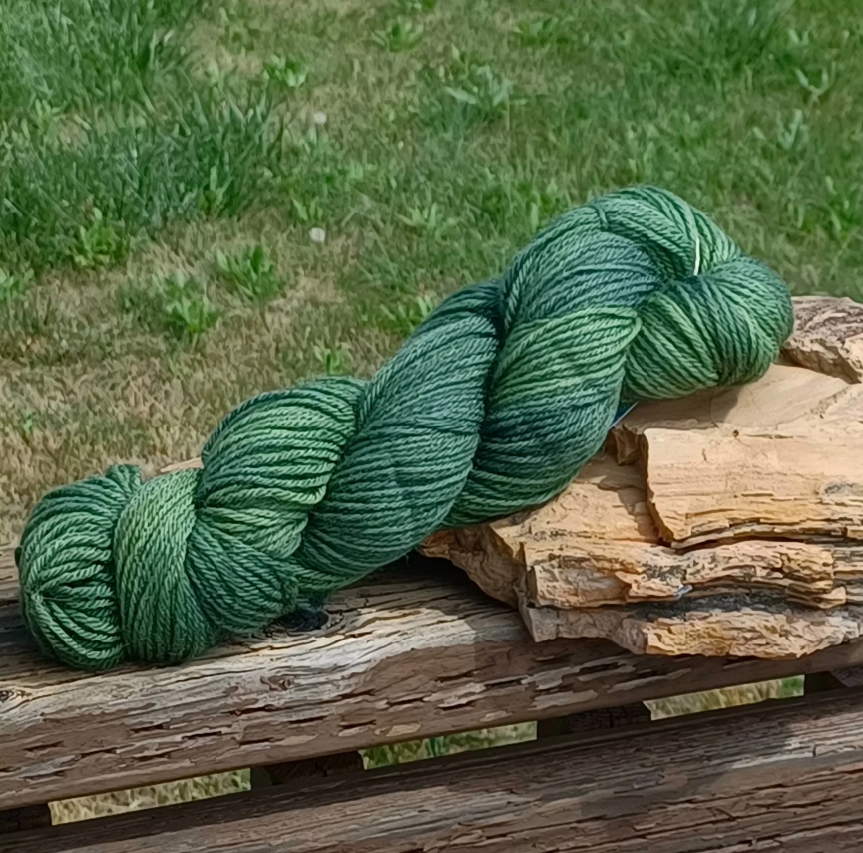 Forest shadow dk.jpg