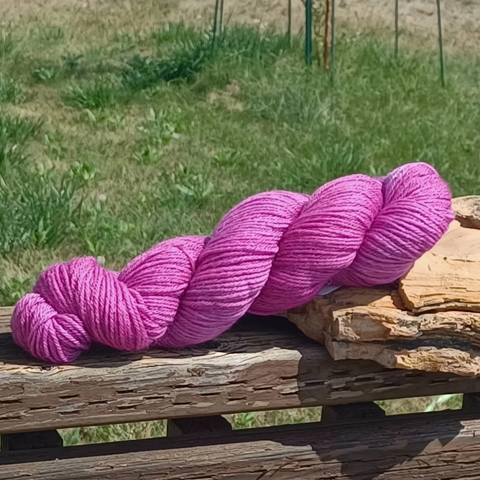 Lilac dk.jpg