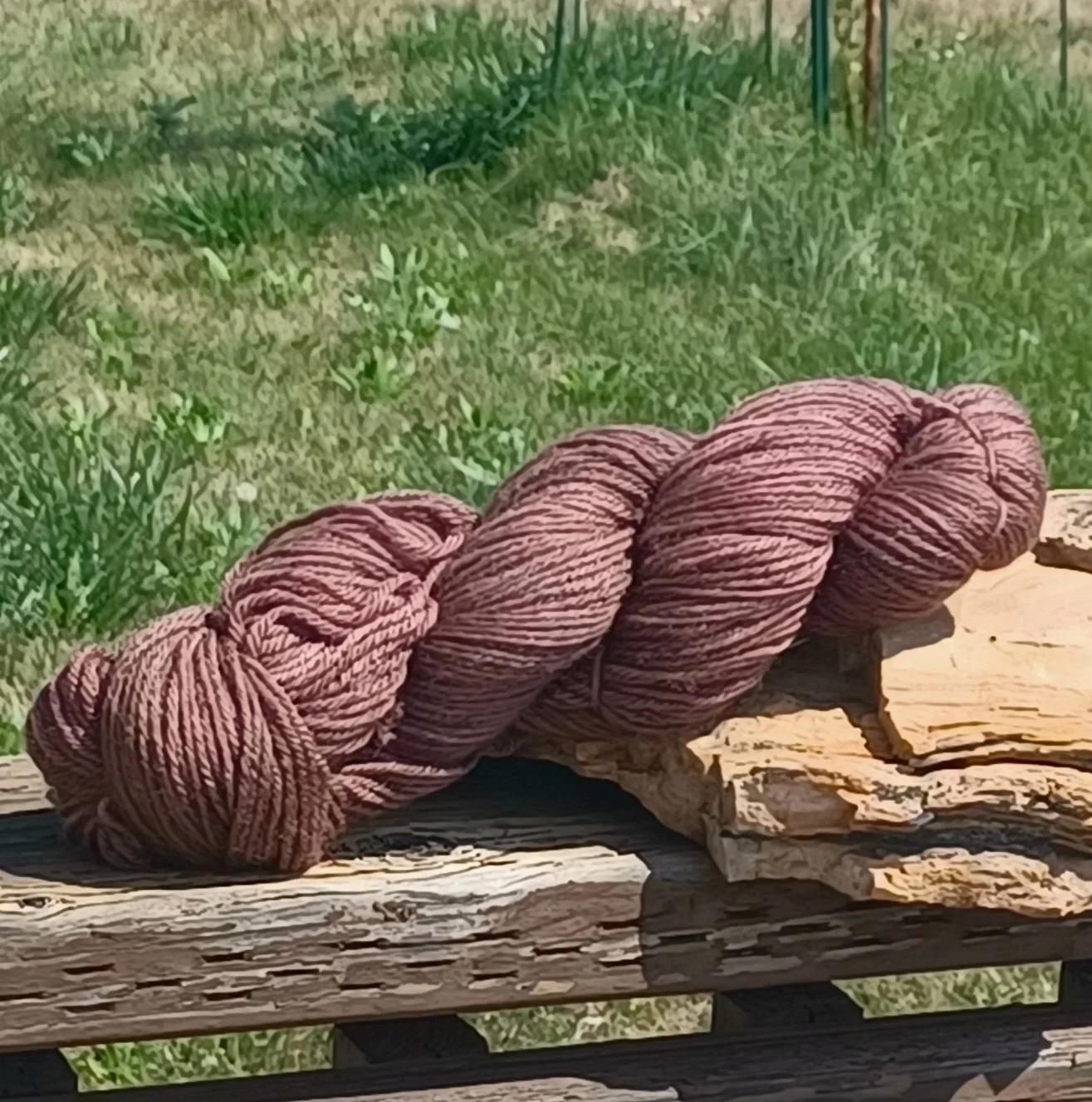 Chocolate dk.jpg