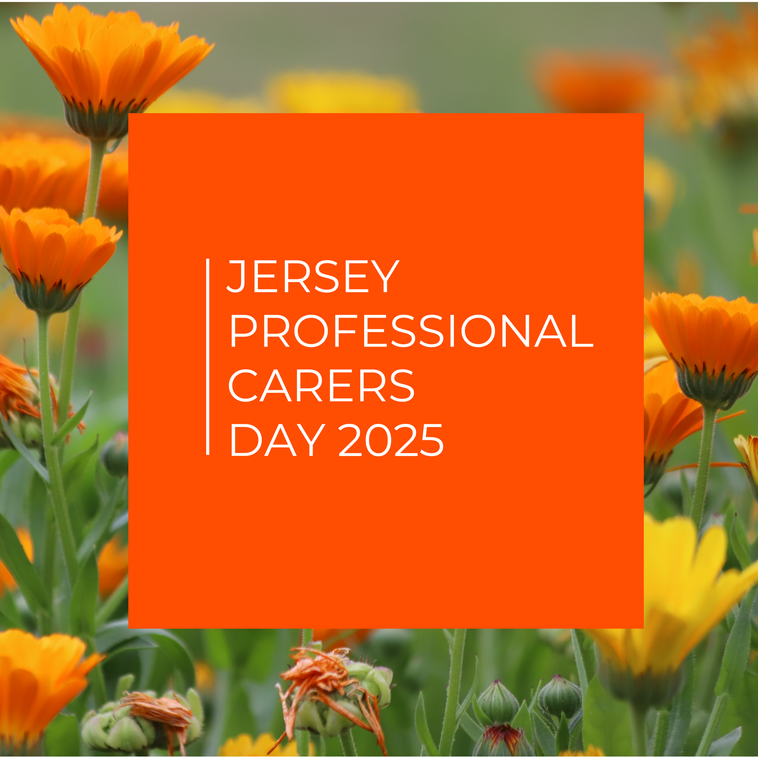 Jersey Professional Carers Day Workshop 2025