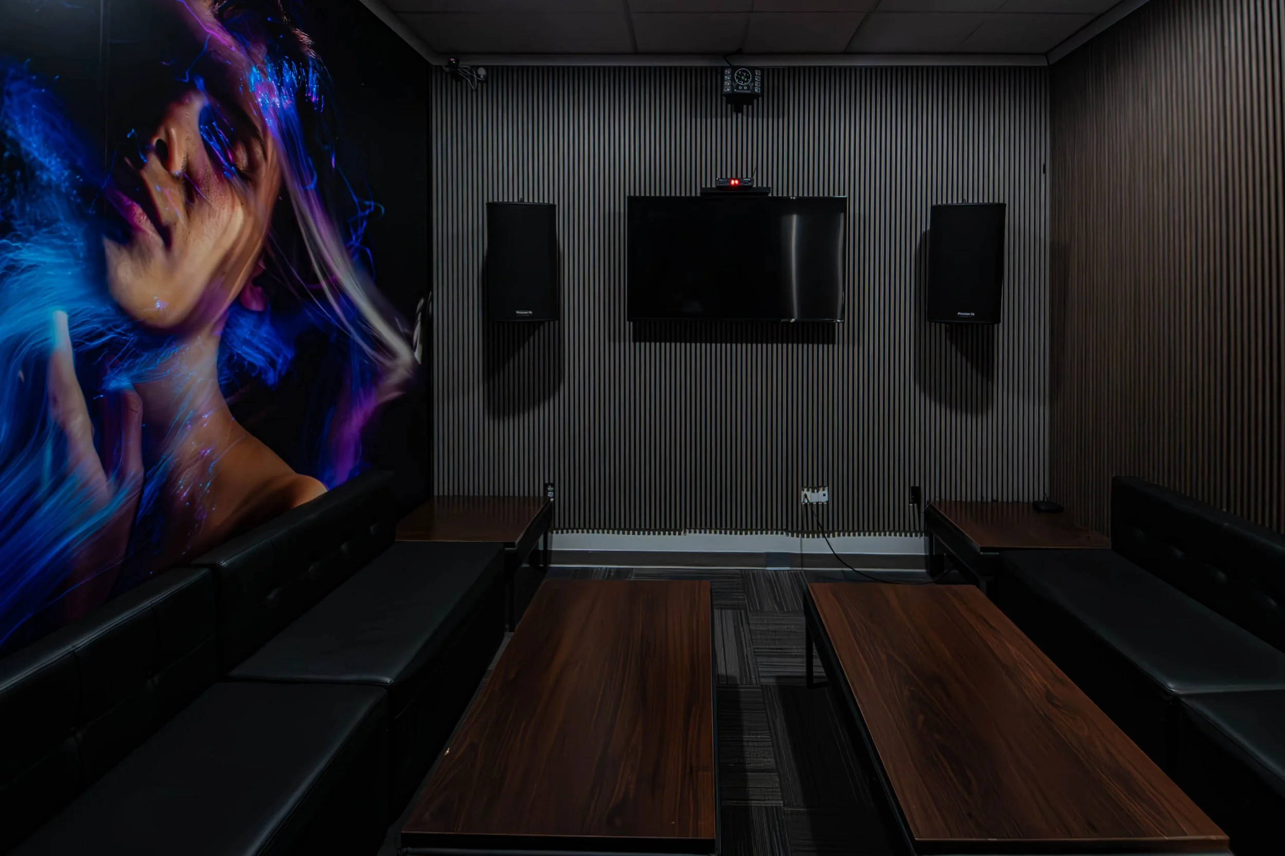 Best Karaoke Suites in Chandler Vybe