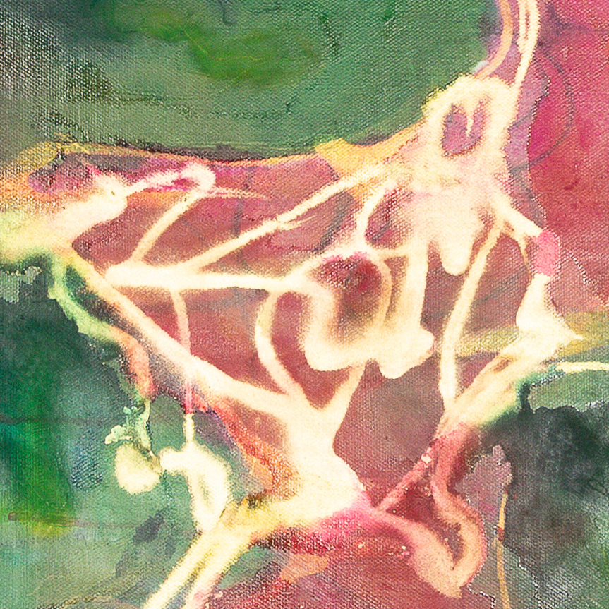 blooming in the shadows details jennifer mehling.png