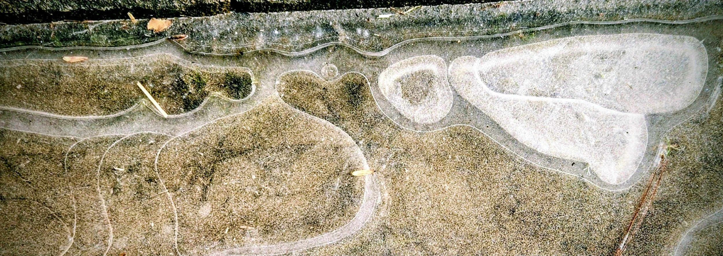 How We Choose, Is How We Practice