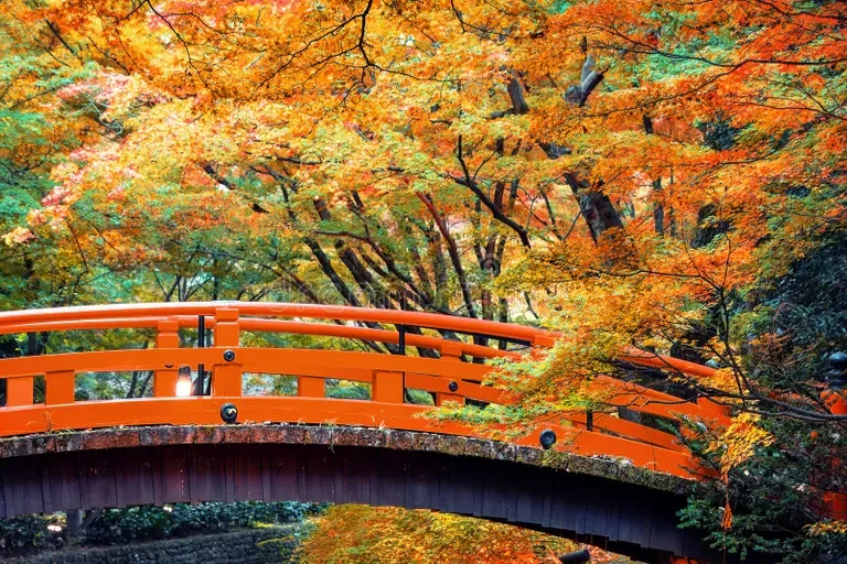 At Last, Fall is Here