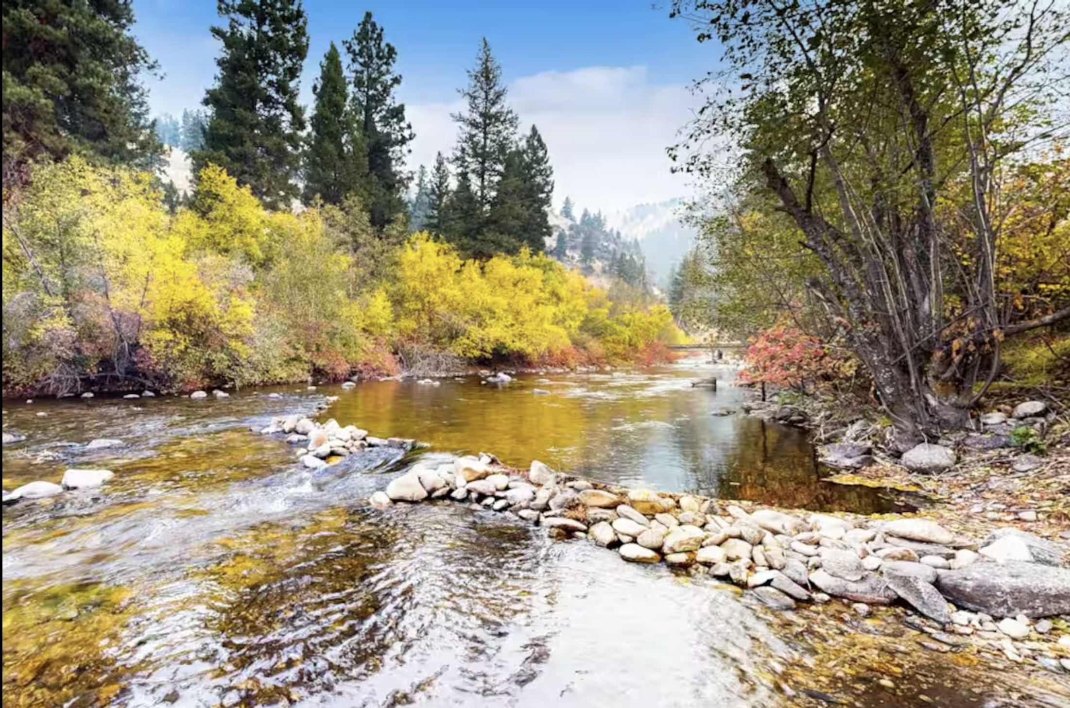 Screenshot 2026-01-02 at 2.37.03 PM.png