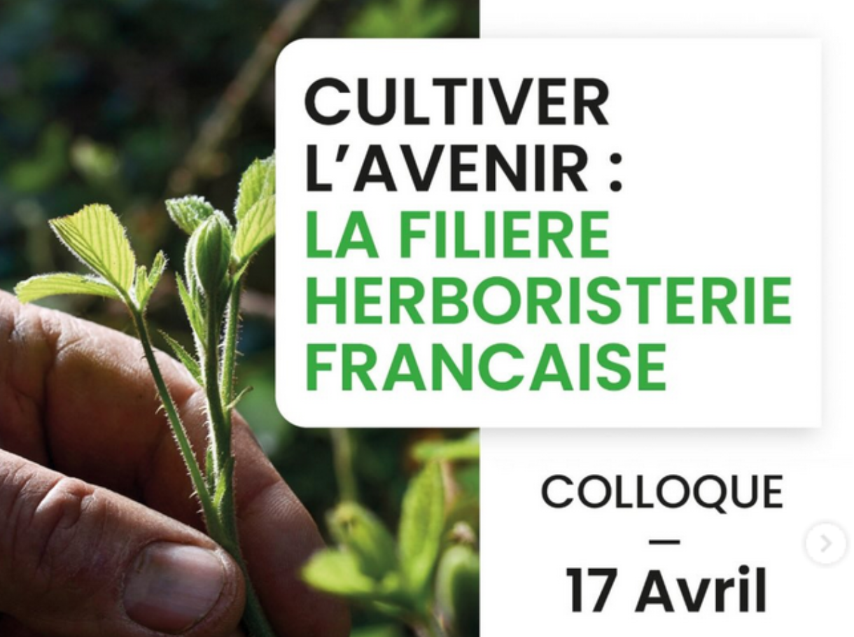 Colloque herboristerie : une filière d’avenir, au Sénat le 17 avril 2026
