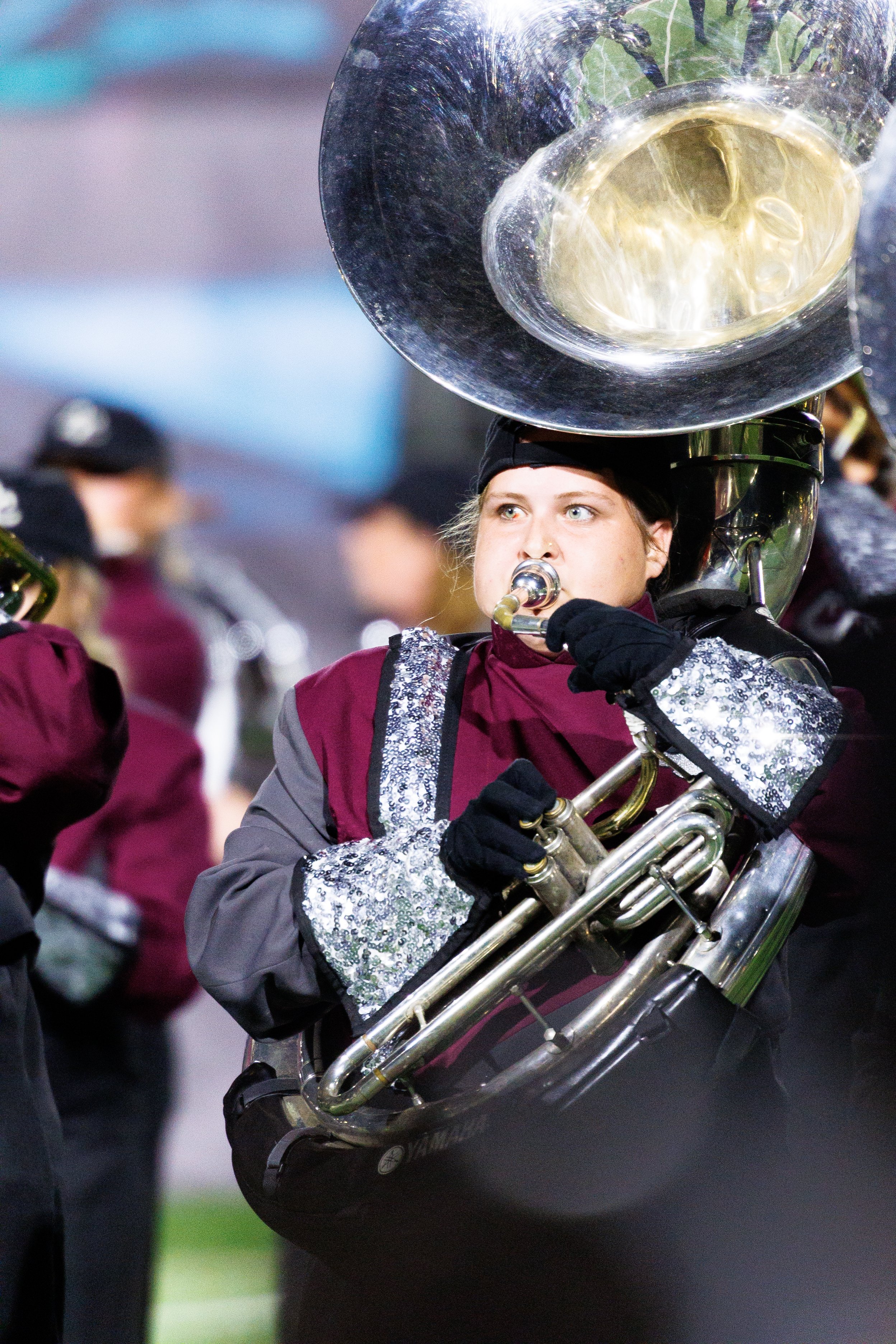 CENTRAL-CARROLL HS "A PORTRAIT IN COLOR"