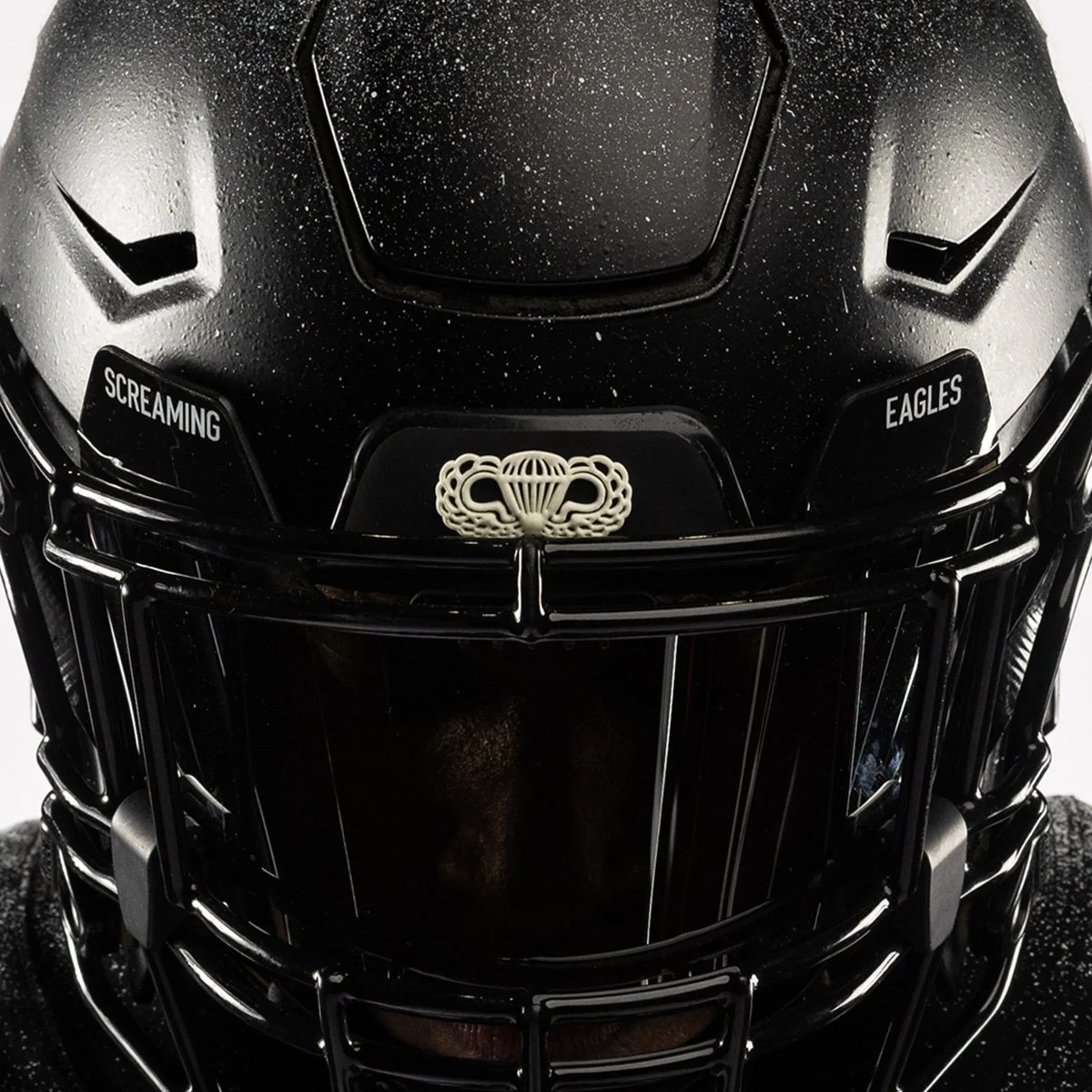 Assets---Gallery---Screaming-eagles-Helmet.jpg