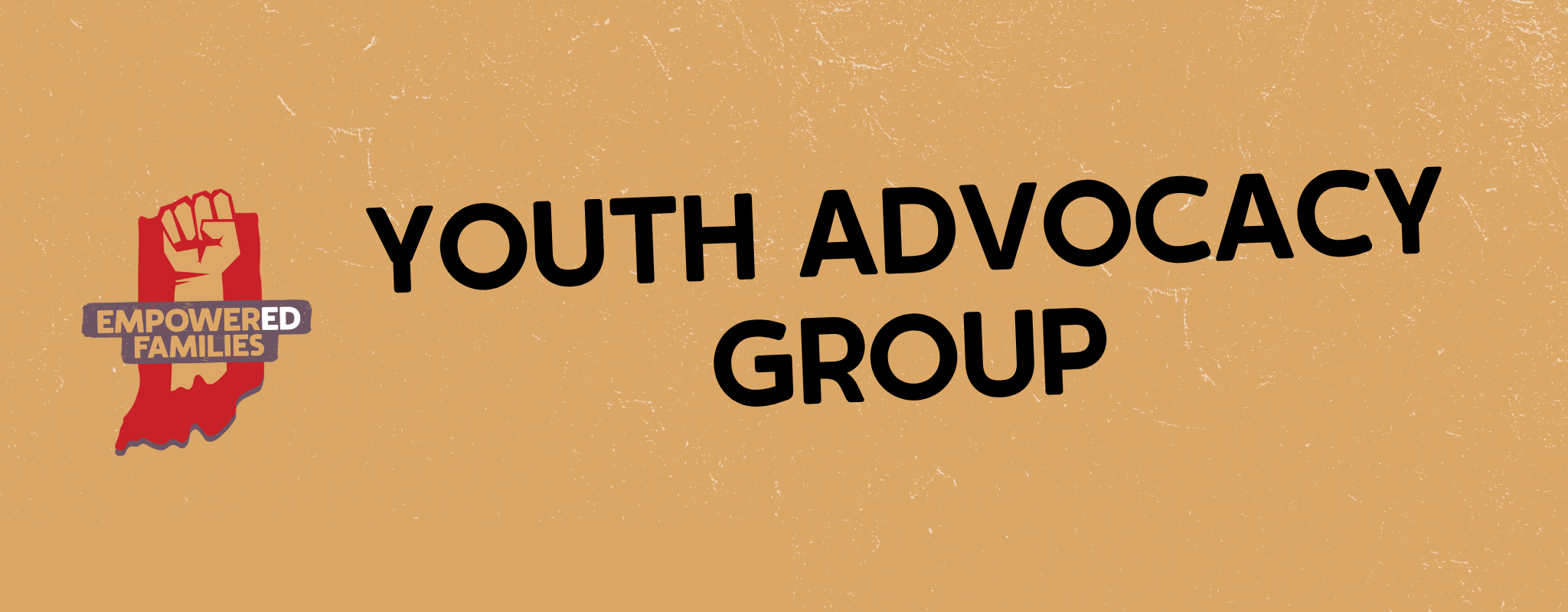 Youth Advocacy Group