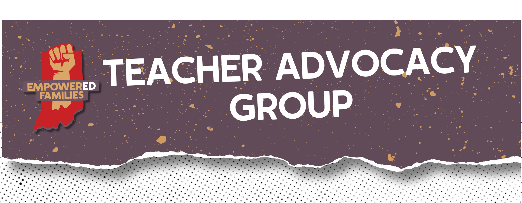 Teacher Advocacy Group