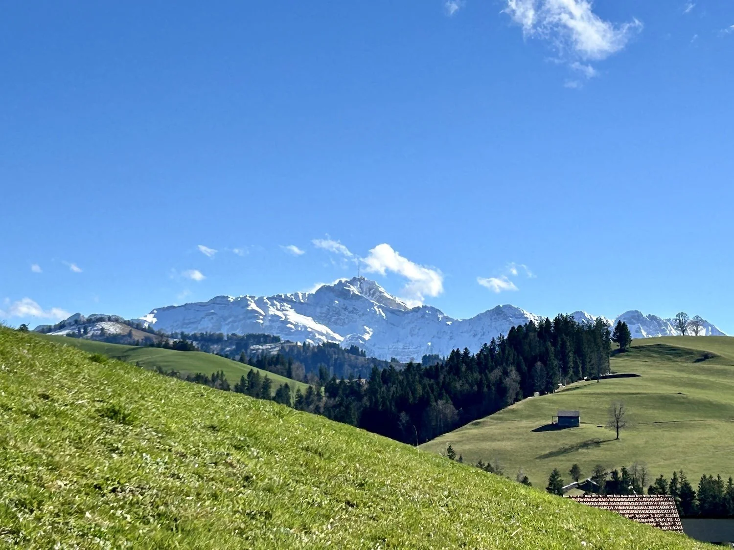 Toggenburg Säntis 