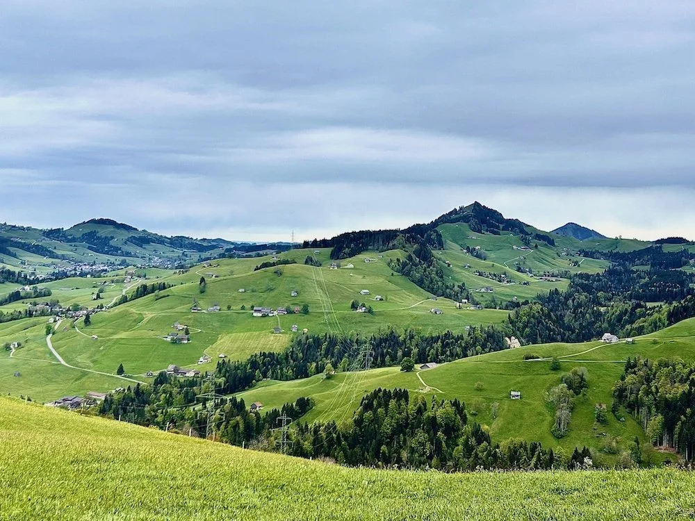 Toggenburg Grüne Wiese Landschaft