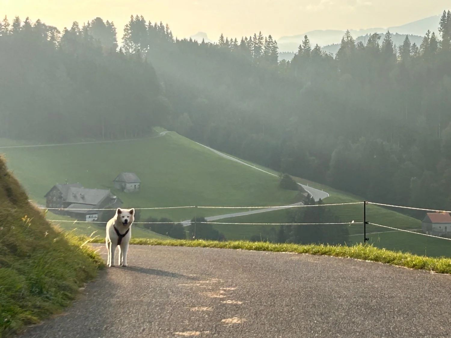 Bächli Spaziergang Toggenburg