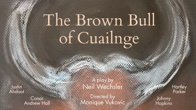 The Brown Bull of Cuailnge poster