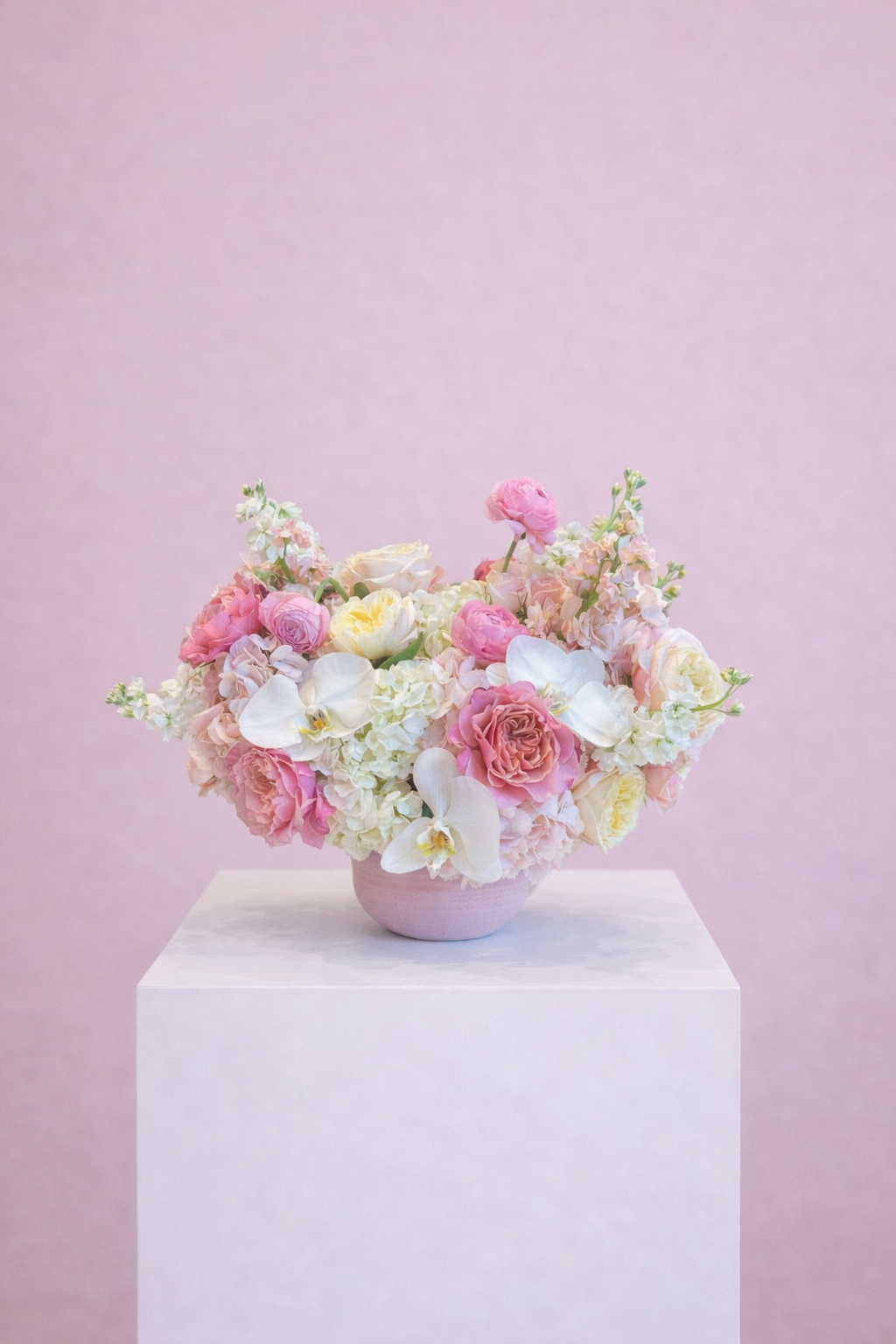 ChatGPT Image Mar 20, 2026 at 09_00_38 AM.png