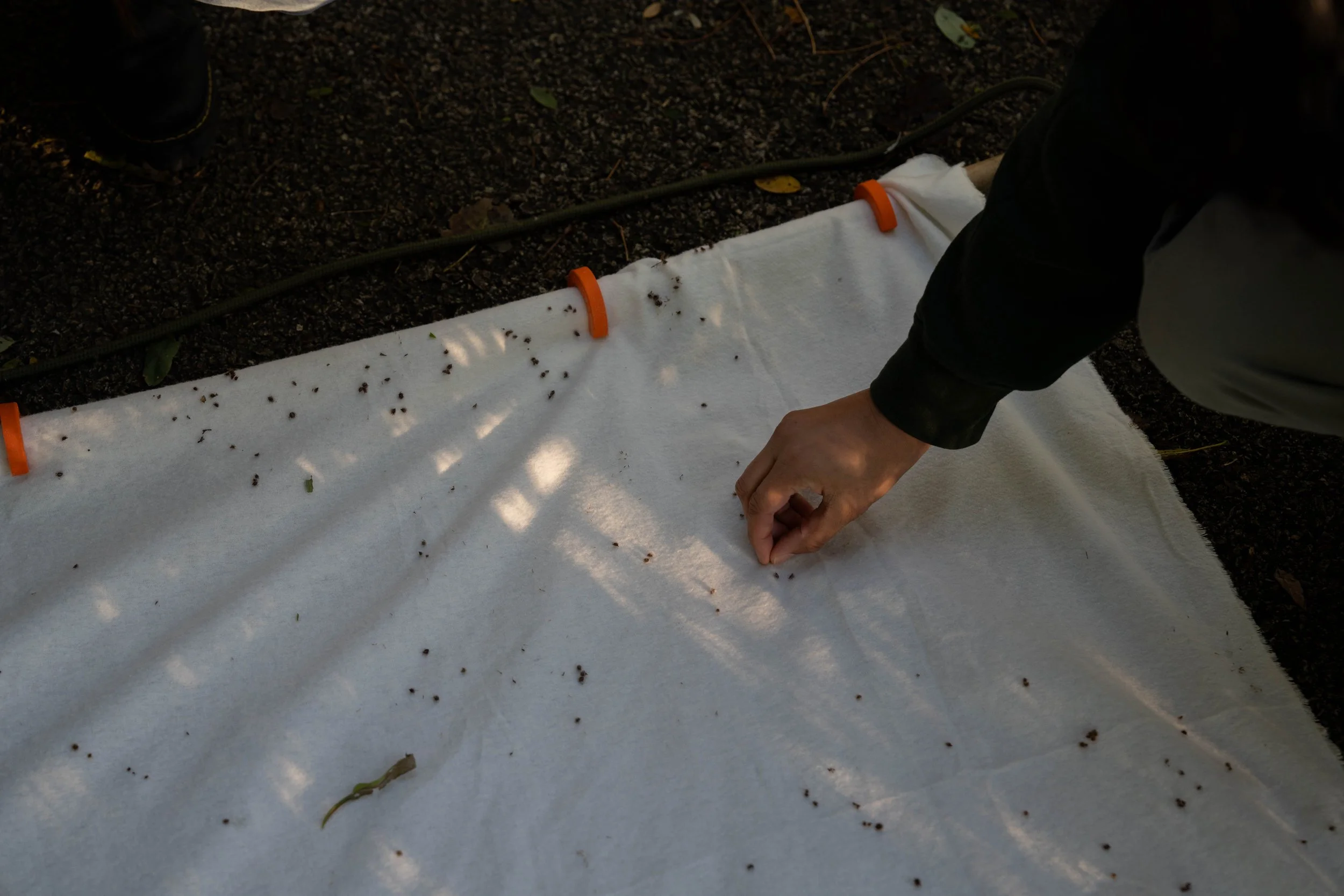 DSC08857.jpg
