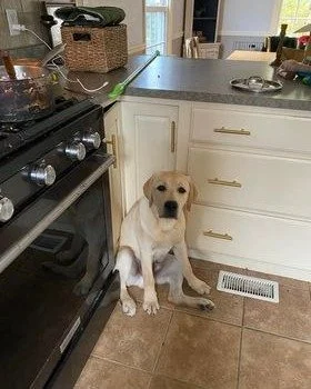 Kipper 2.jpg