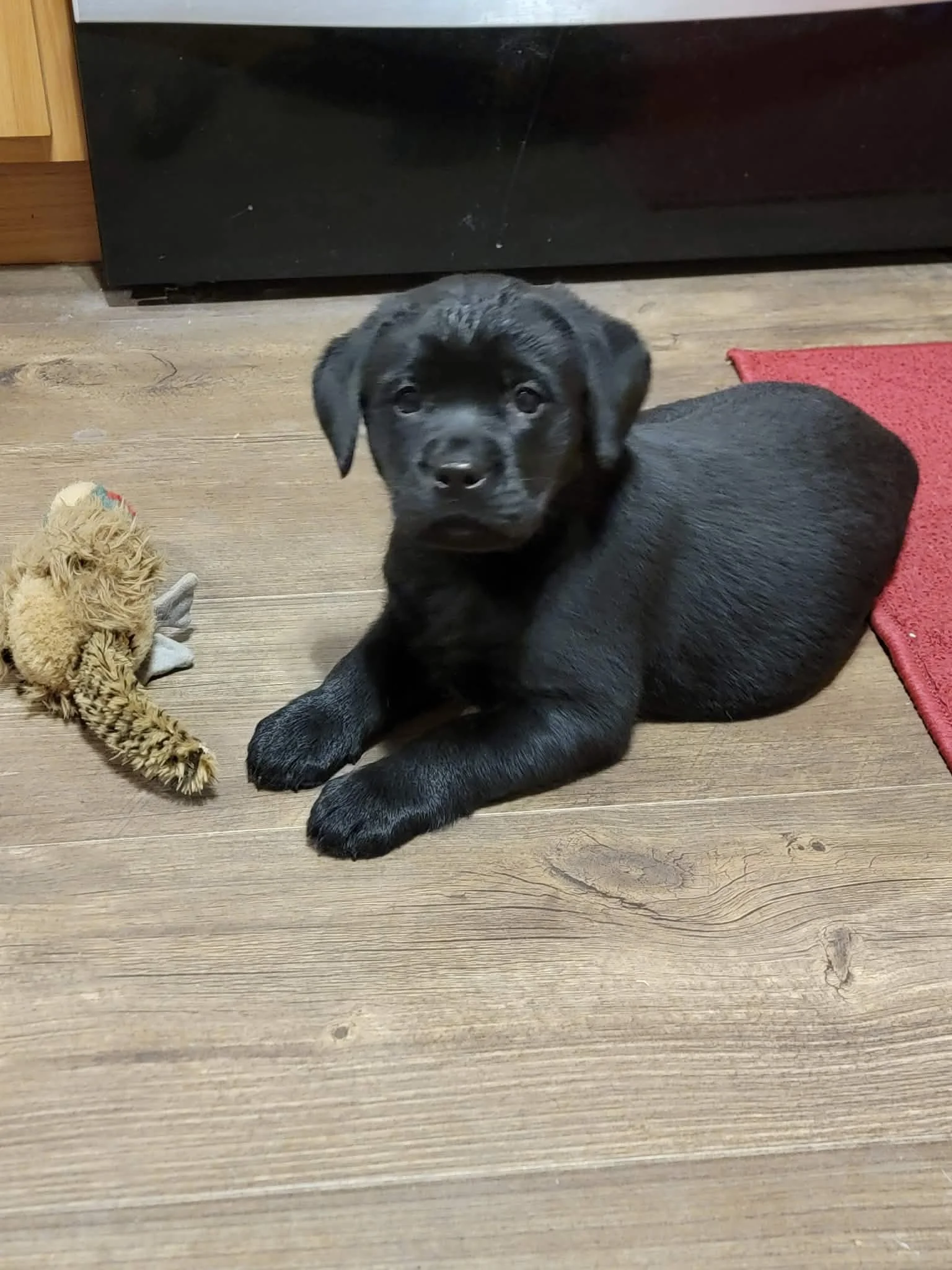 eda4f38c-ae3d-4463-83a5-41a5daebb293.jfif