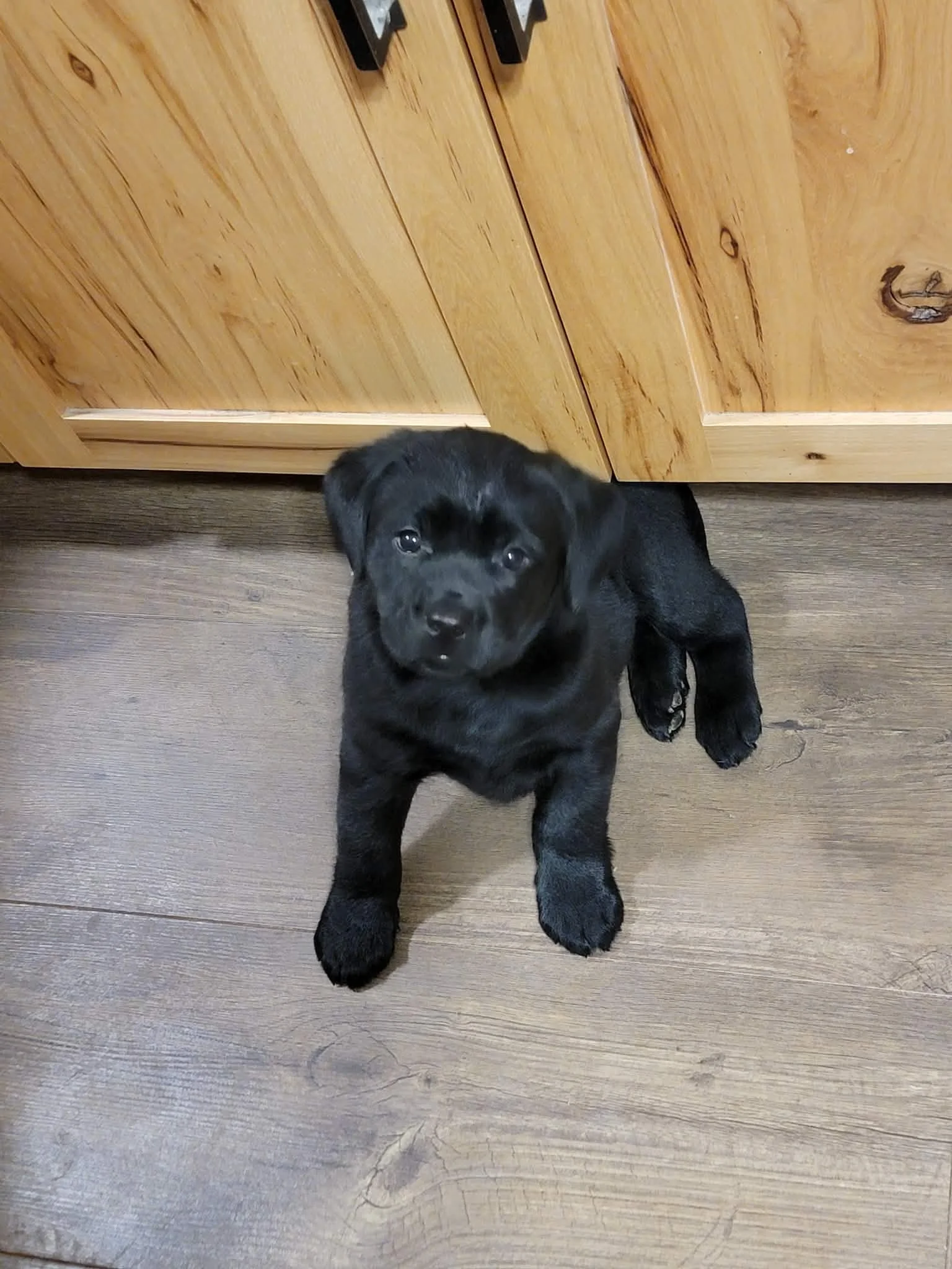 81f0f925-08c3-4922-80f7-06ac1229eb8d.jfif