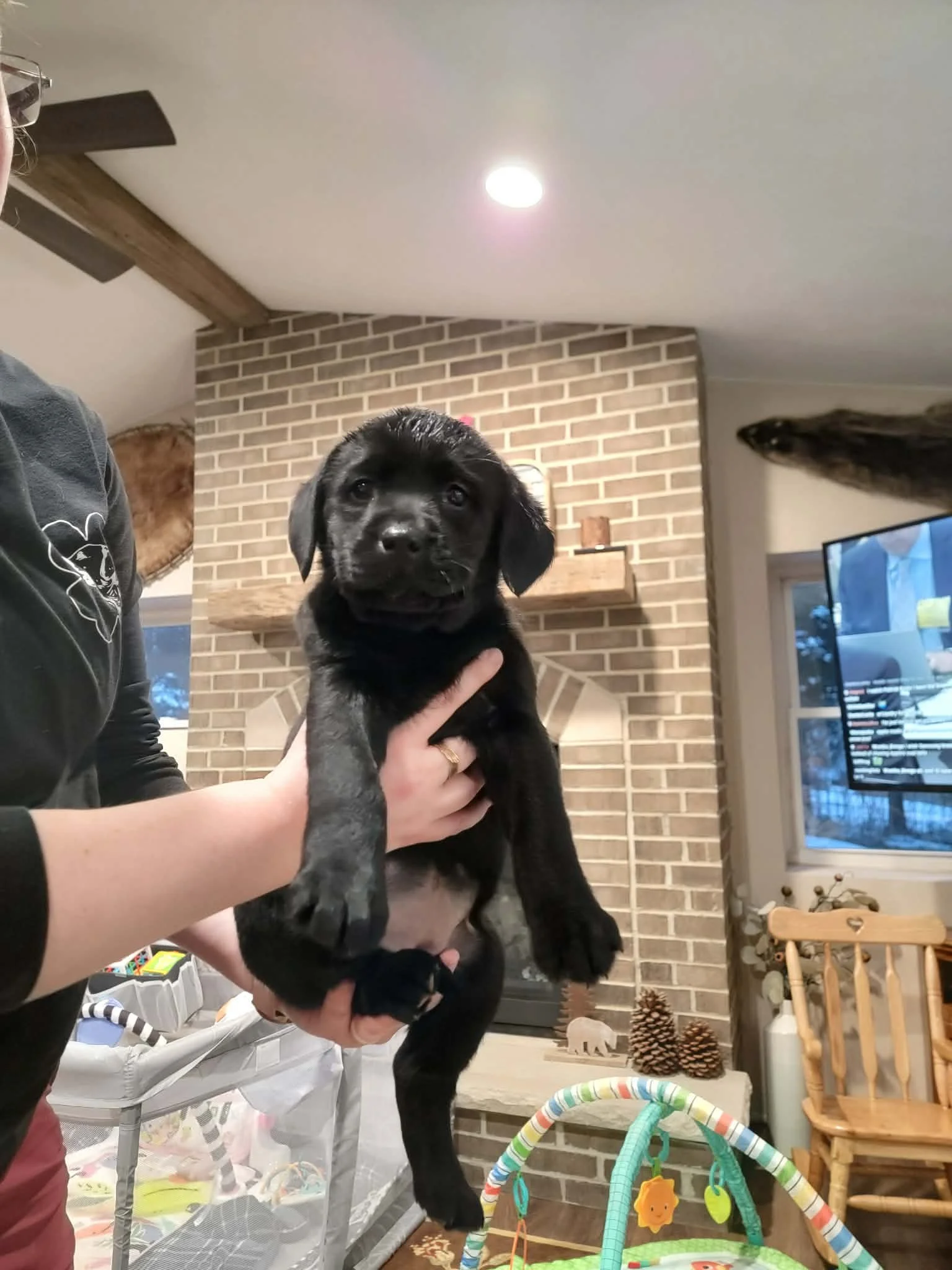 0335821a-29f5-4b84-807c-b5517405262c.jfif