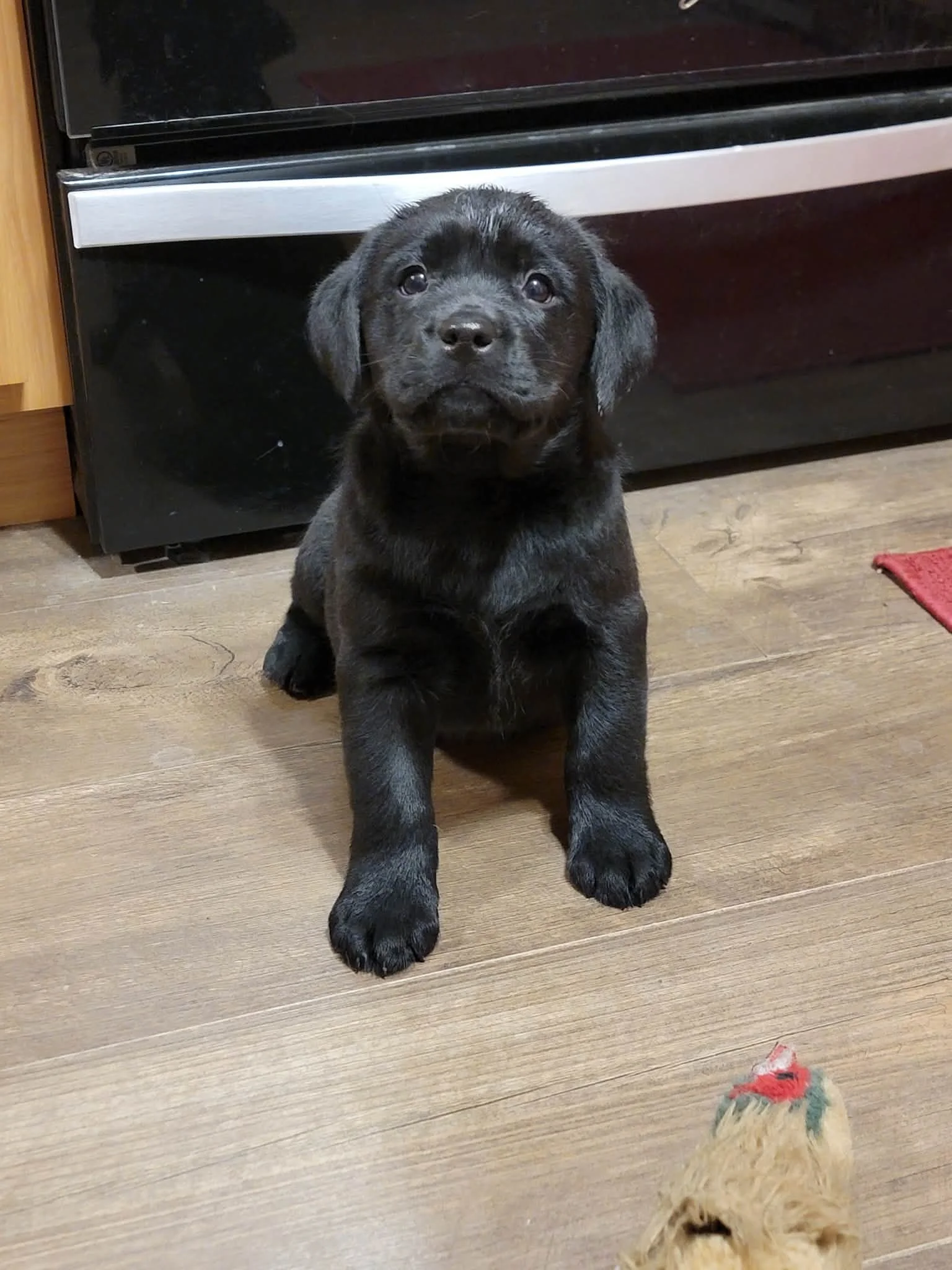 15046db9-fc77-4653-be40-abfbf5716f74.jfif