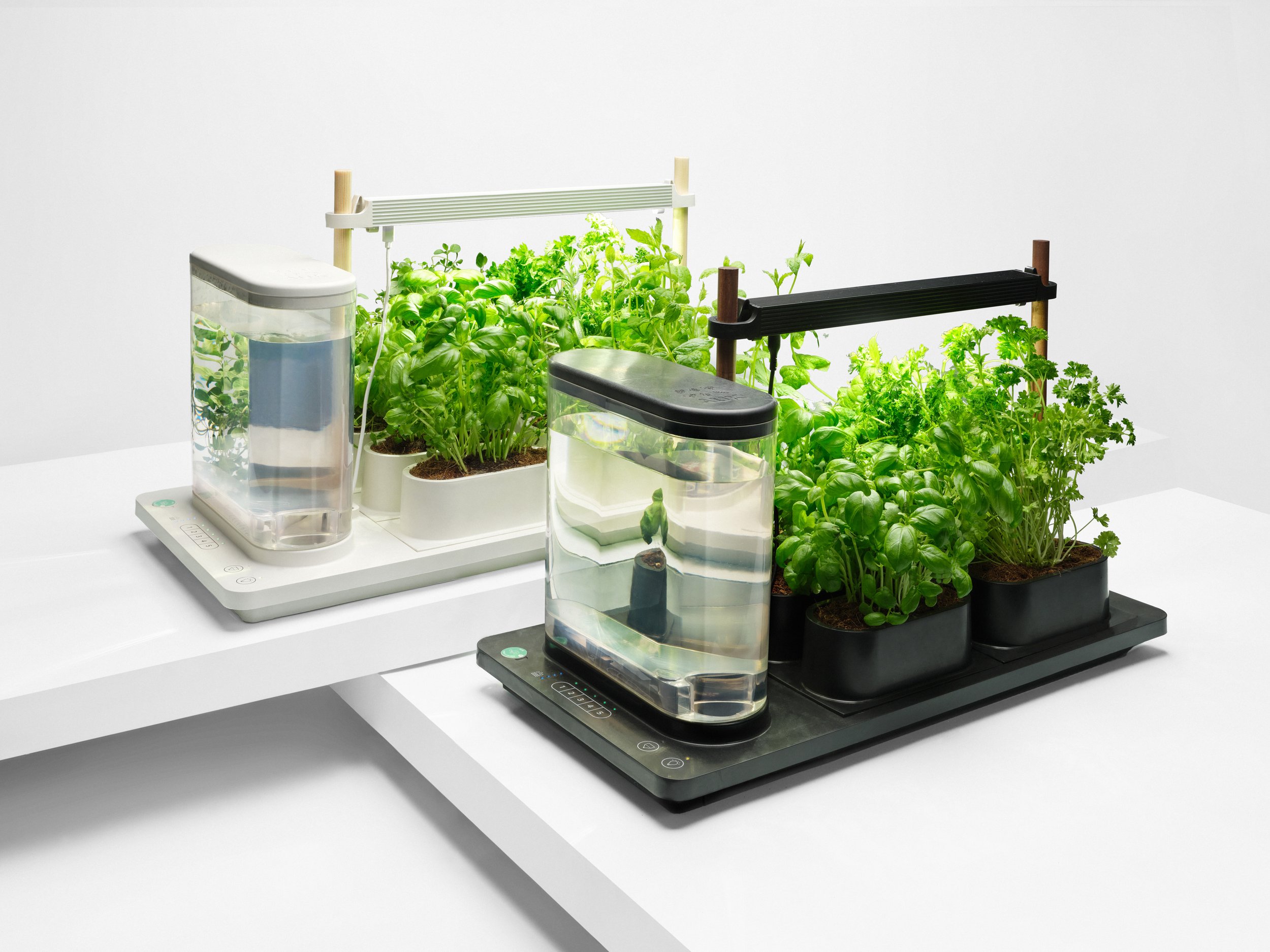 2022_08_AUK_FAM2 (1).jpg