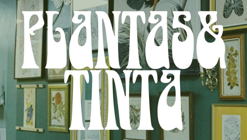 Pop-Up EVENT at Plantas &amp; Tinta