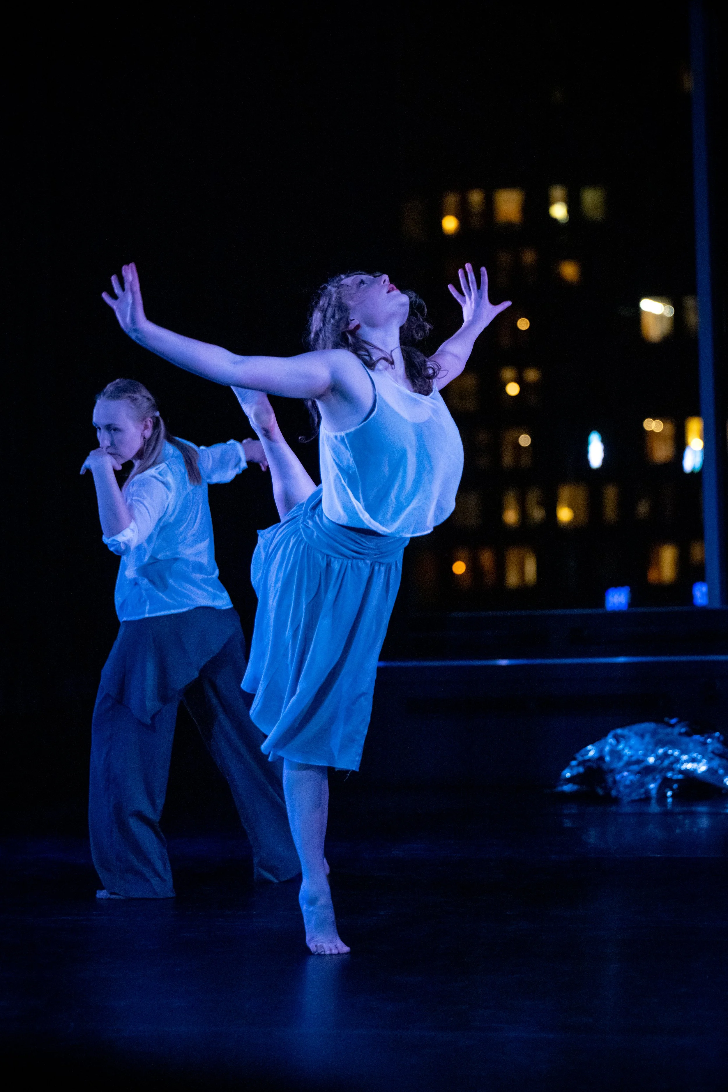 Wild Space Beyond the Shimmer-55.jpg