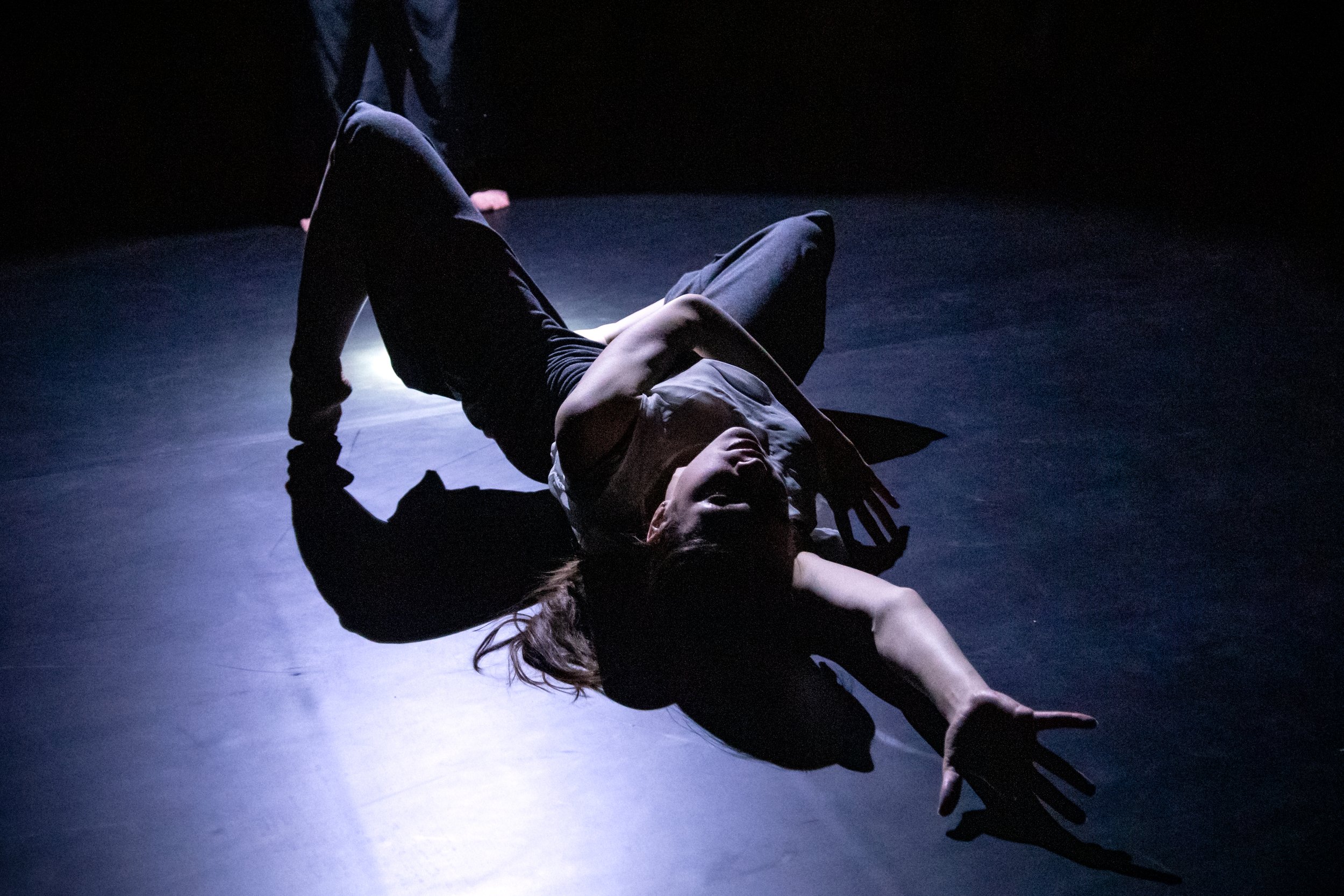 Wild Space Beyond the Shimmer Highlights-7.jpg