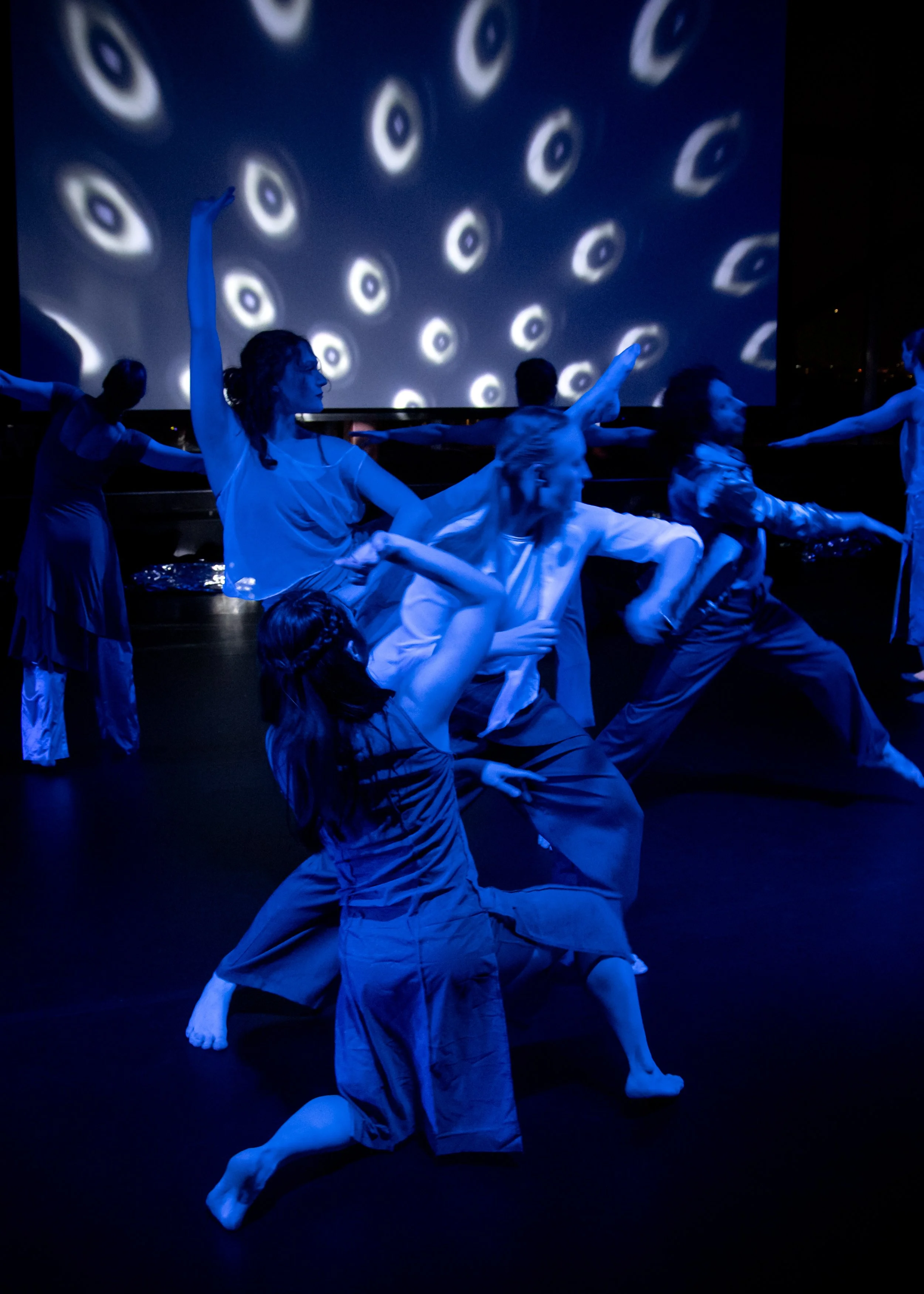 Wild Space Beyond the Shimmer-65.jpg