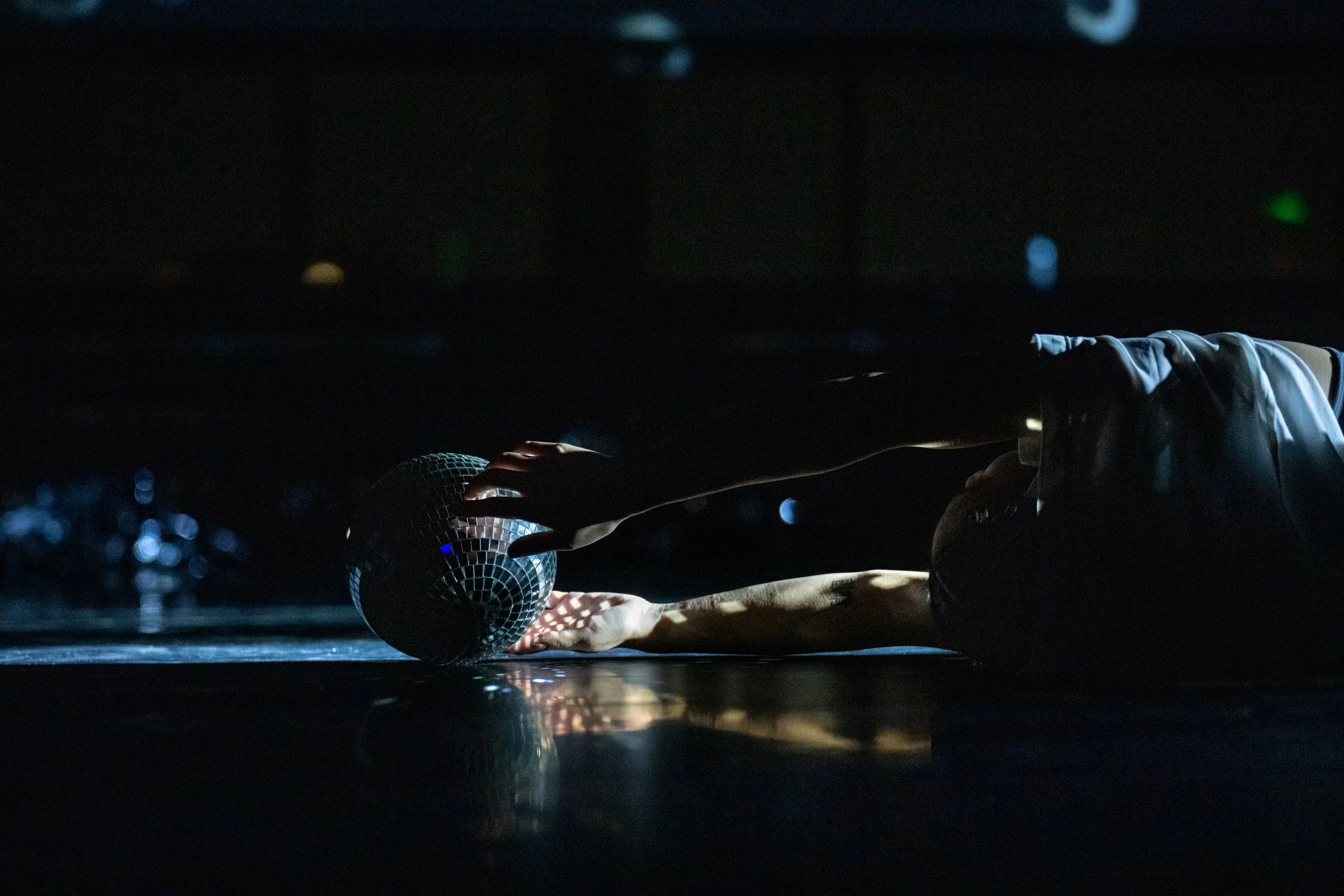 Wild Space Beyond the Shimmer Highlights-17.jpg