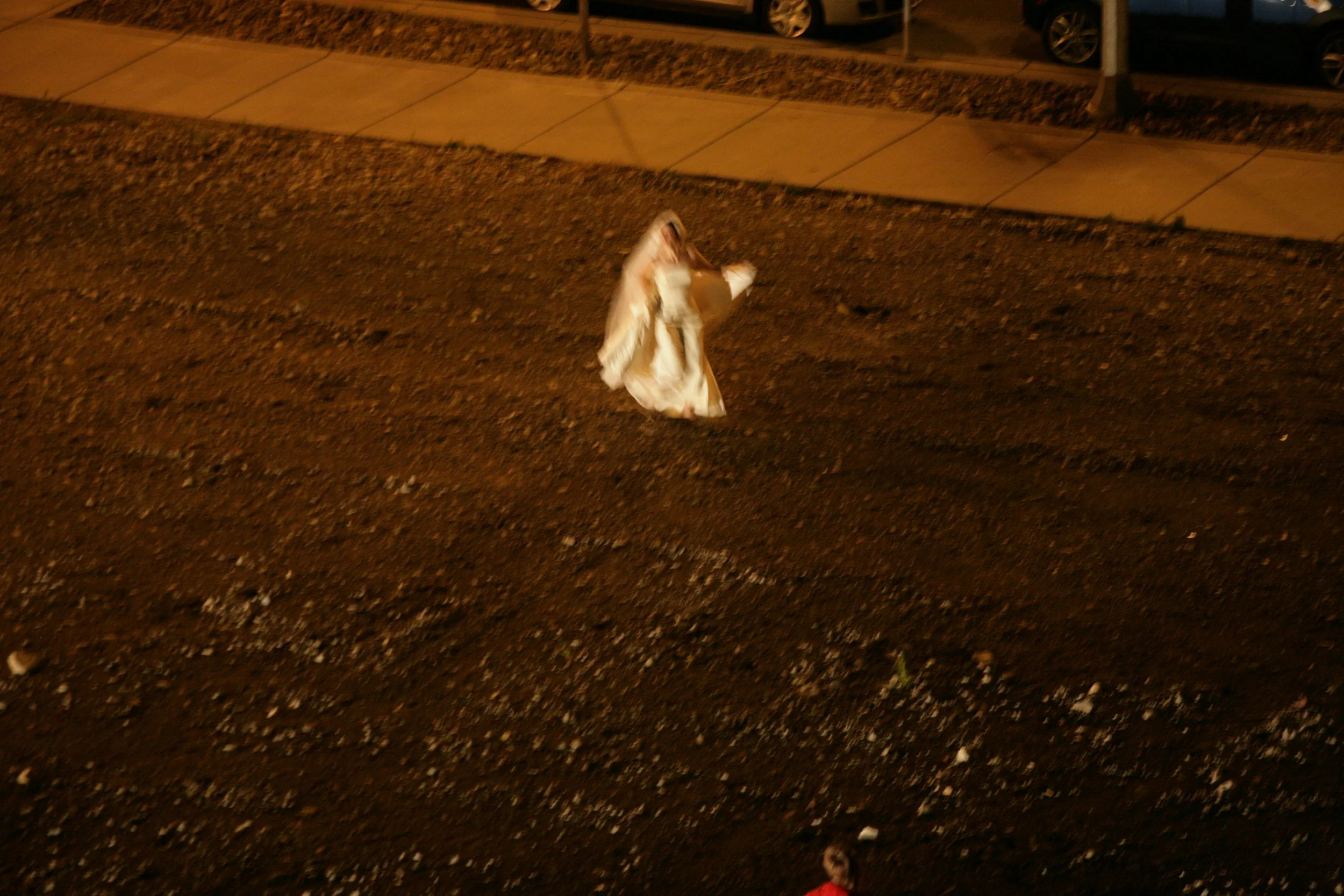 IMG_8588.JPG