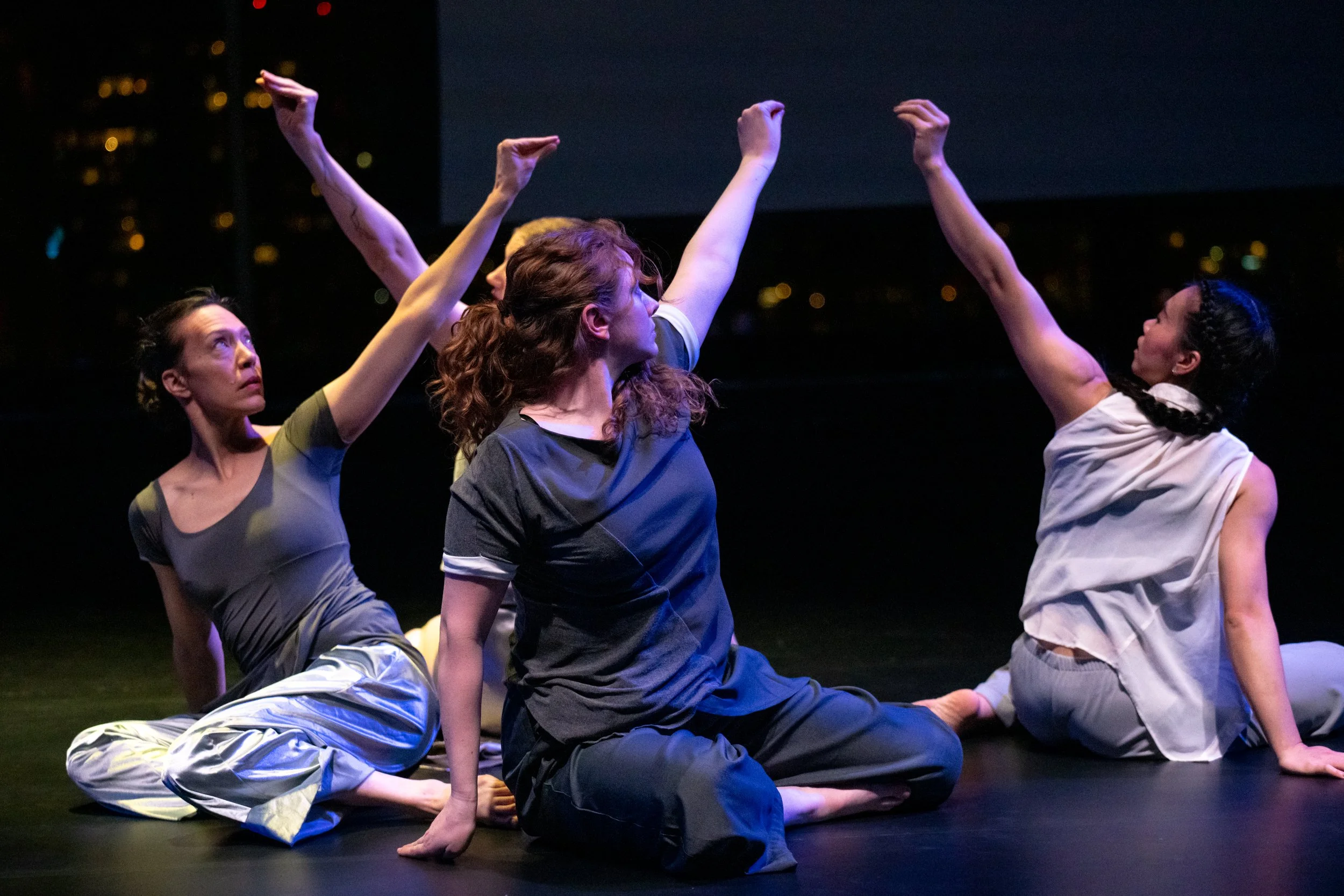 Wild Space Beyond the Shimmer Highlights-4.jpg