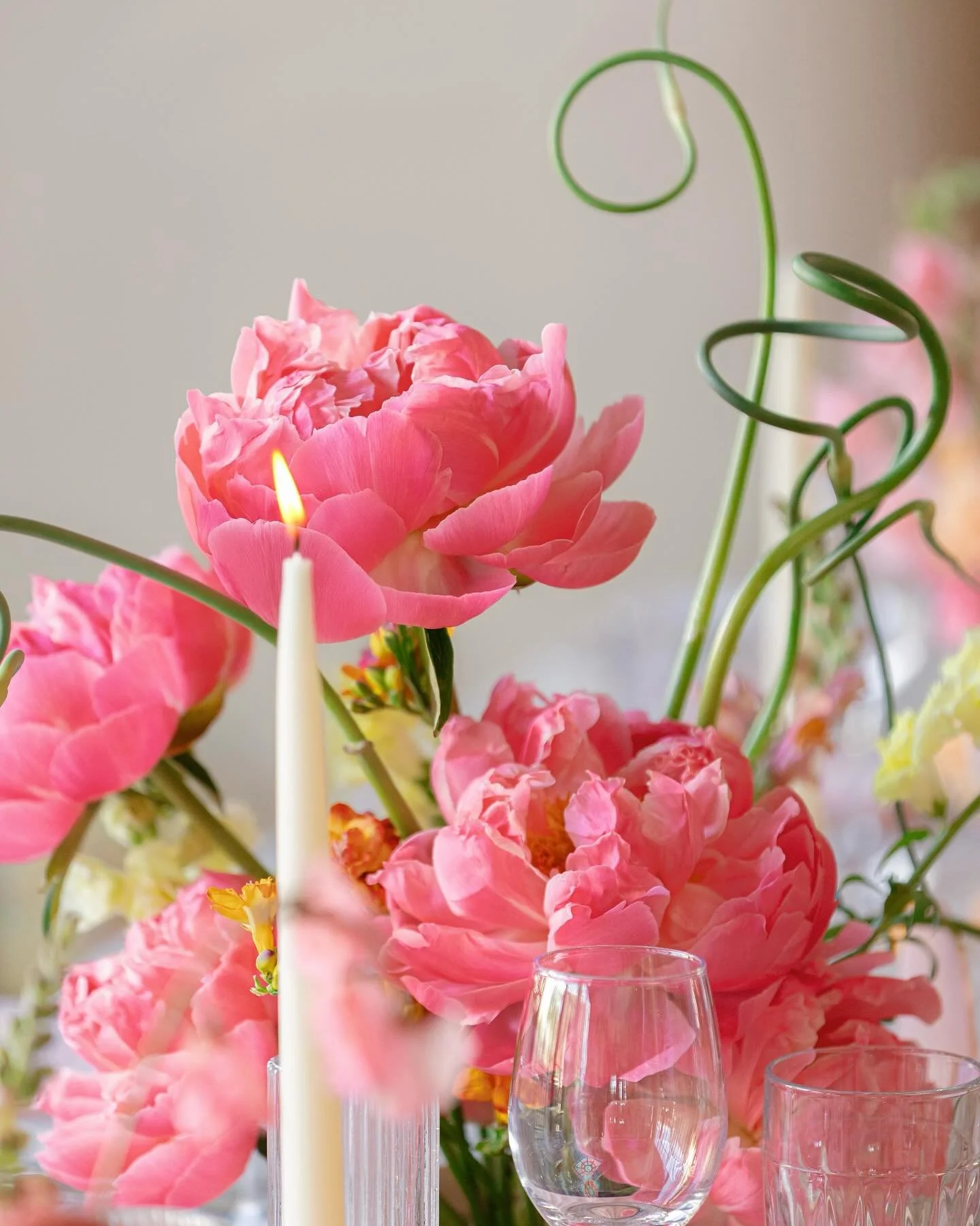 The top 5 flowers that stole the show in 2025 ⭐️

We saw a lot of beautiful blooms this year, but these five took center stage. Think: locally grown, seasonally stunning, and wildly photogenic. Which one would you pick for your bouquet?

Coral Charm 