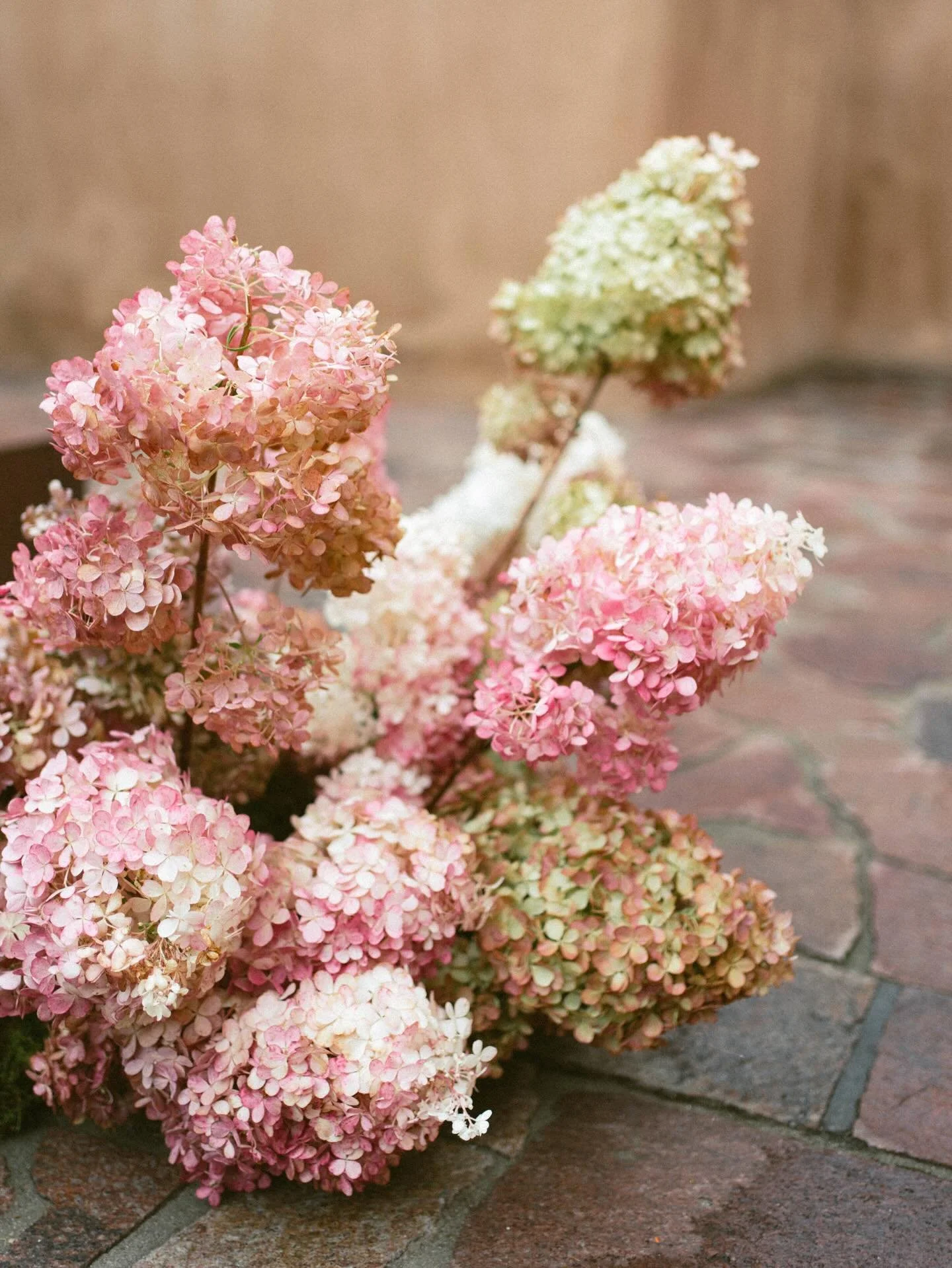 A design style we hope to see more of this year is mono floral 🦢
We will never get over the hydrangea ceremony arrangements from Sofia &amp; John&rsquo;s rainy wedding day. Truly the epitome of effortless elegance 🌧️🌸

Florals: @floriography_flowe