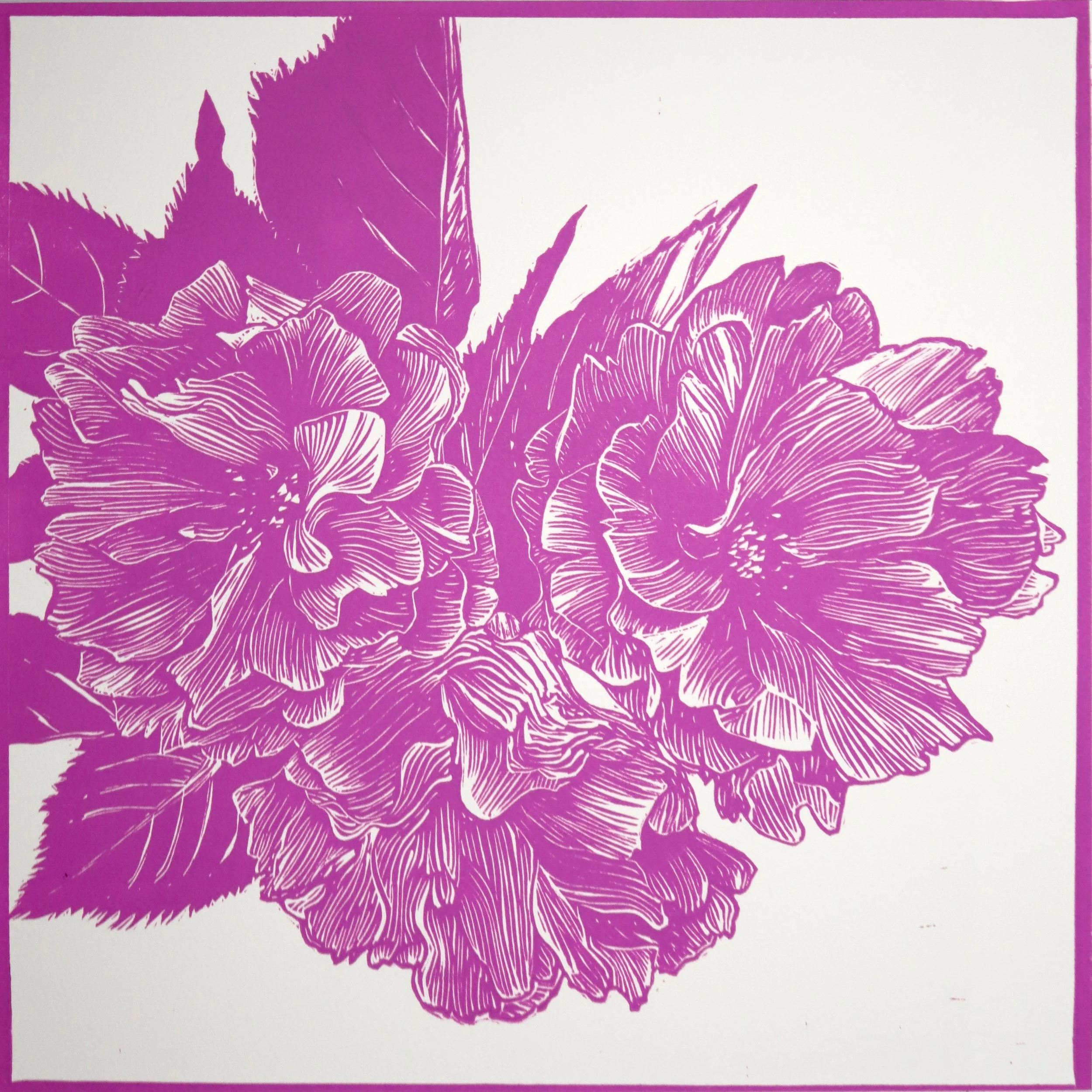 Green-wood Cherry Blossoms (12"X12") 2024