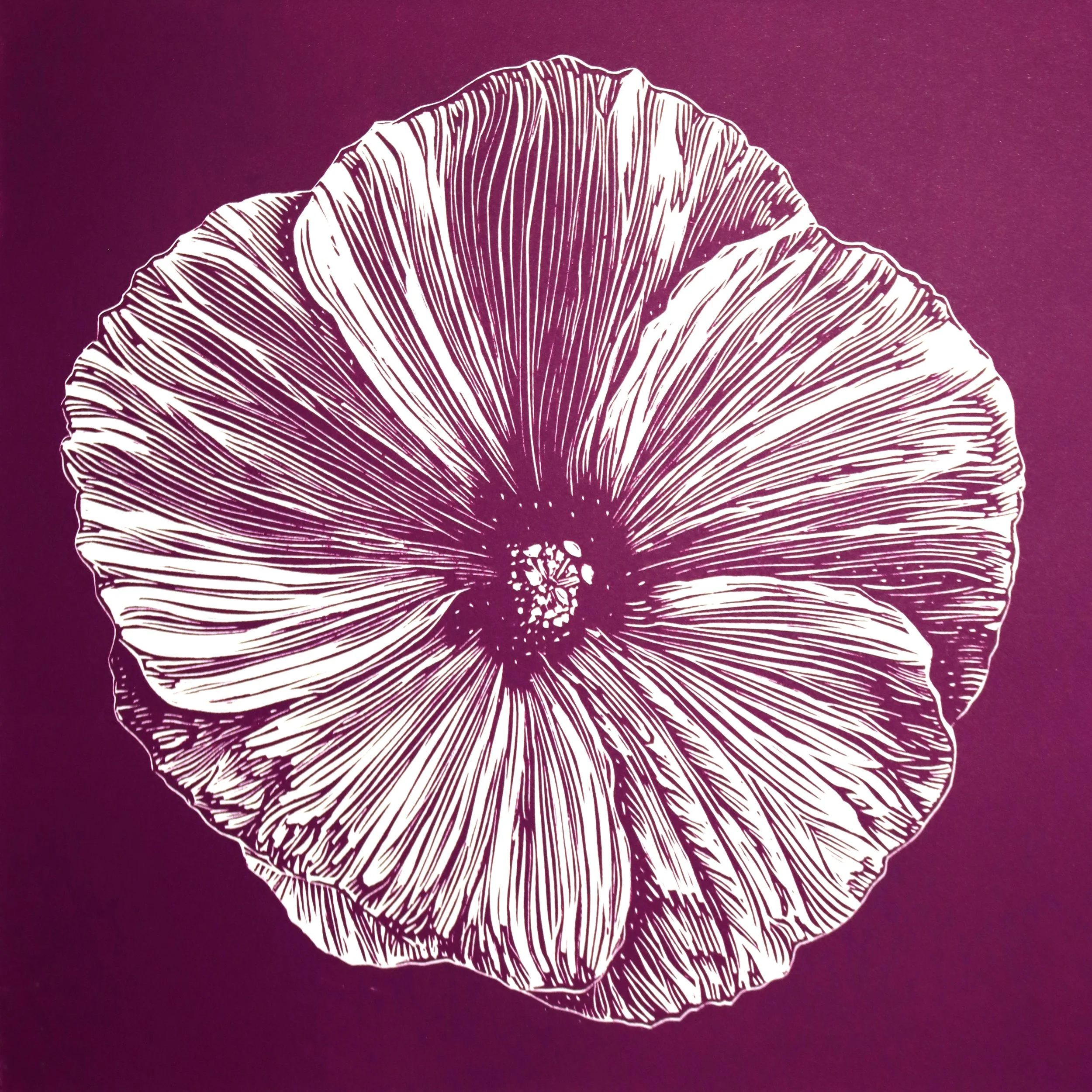 Hibiscus 2 (12"X12") 2024