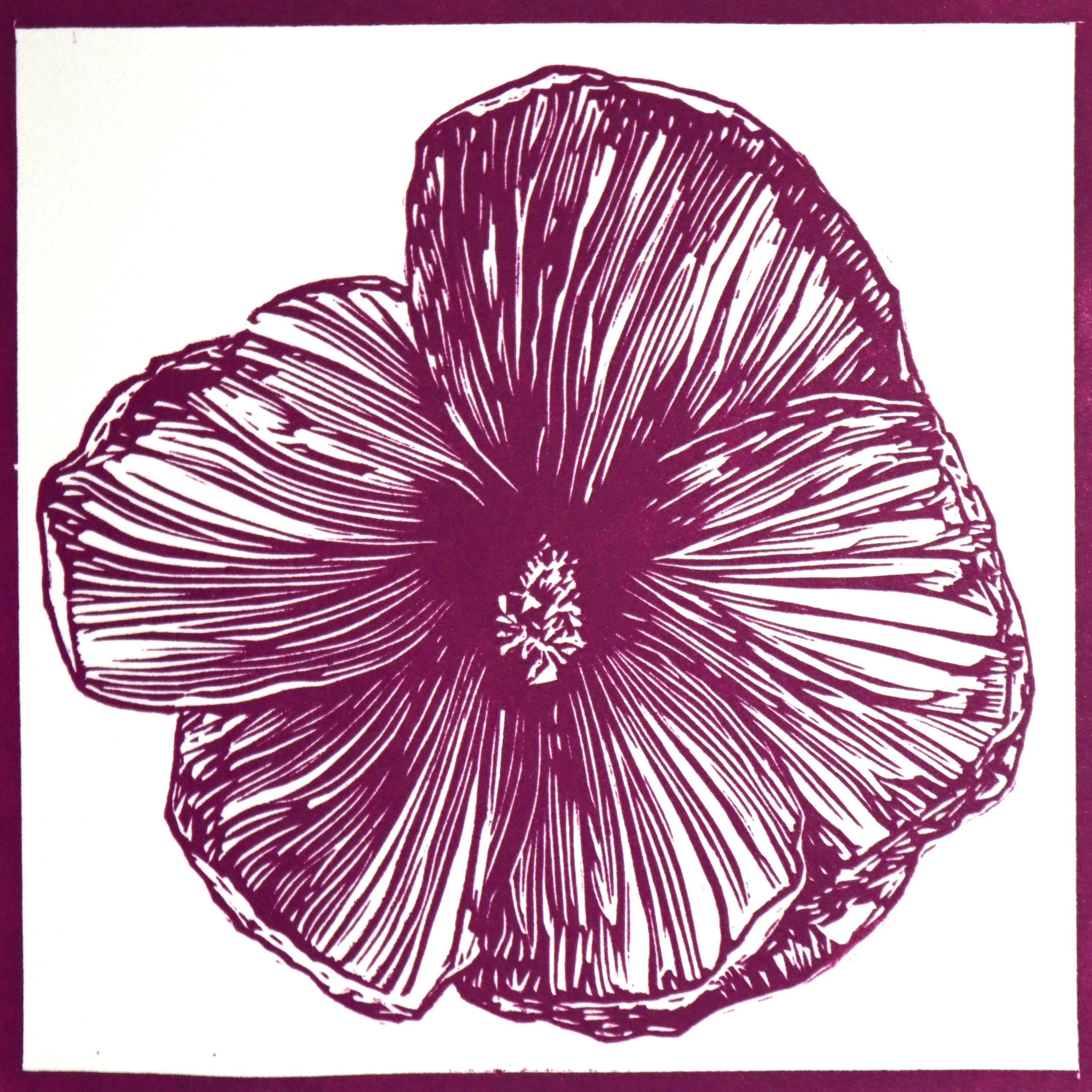 North Providence Hibiscus (6"X6") 2024