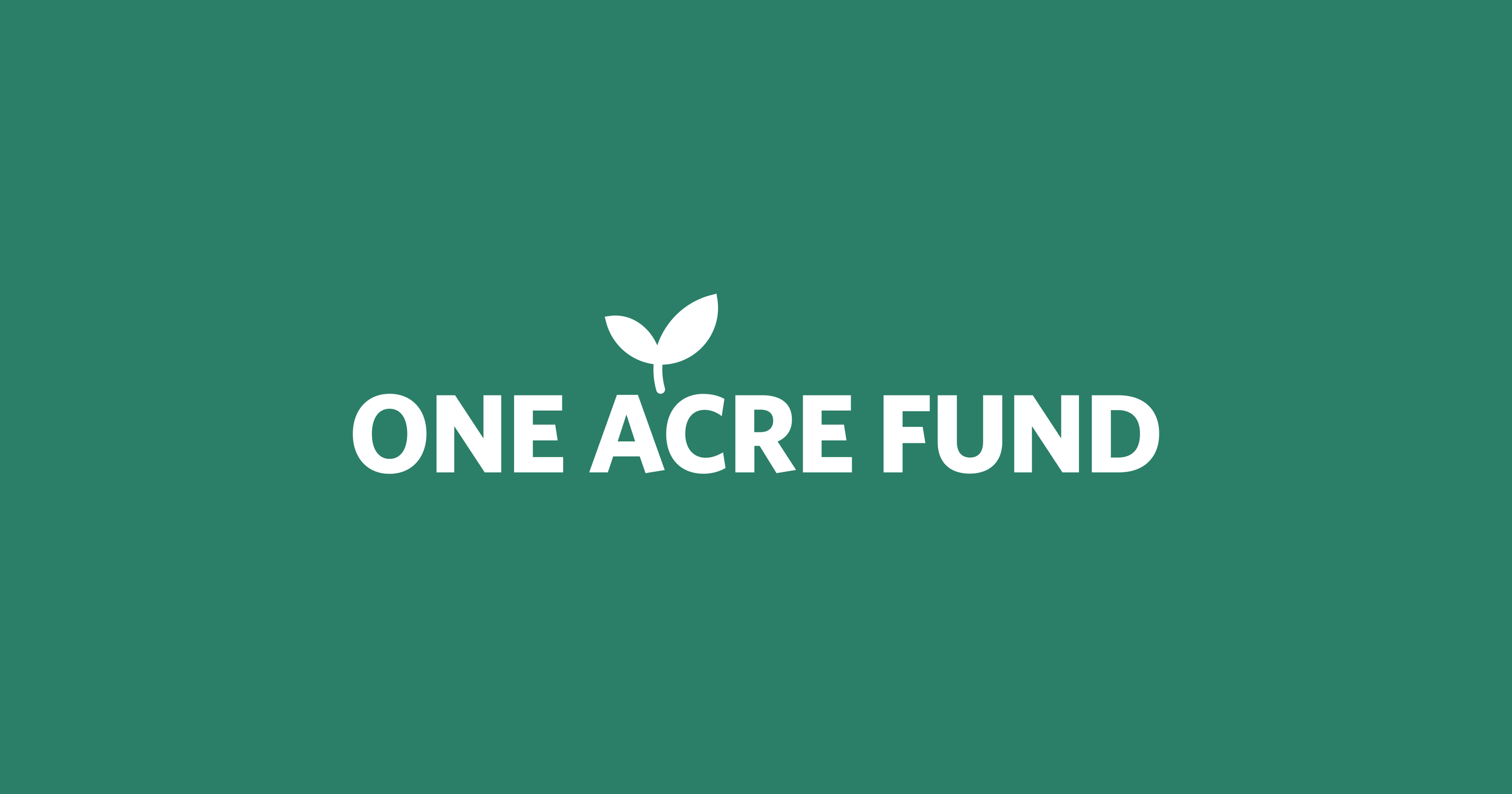 Rooted in impact: Reflecting on a brand built for One Acre Fund’s next chapter
