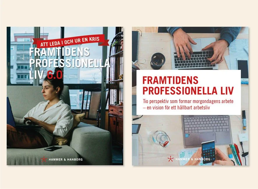 Hammer & Hanborg_Rapport