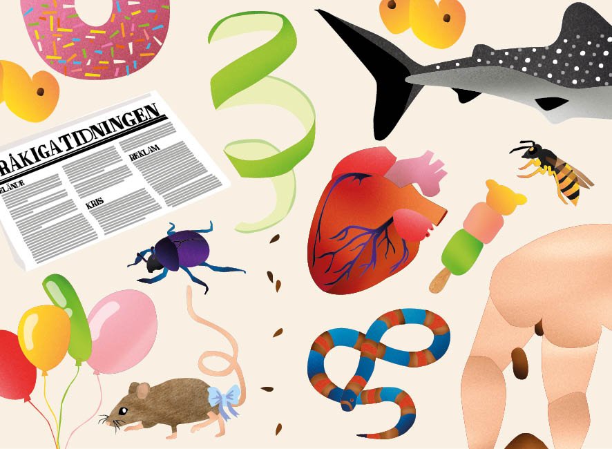 ILLUSTRATION FÖR EGEN BARBOK: Kommer i butik hösten 2026