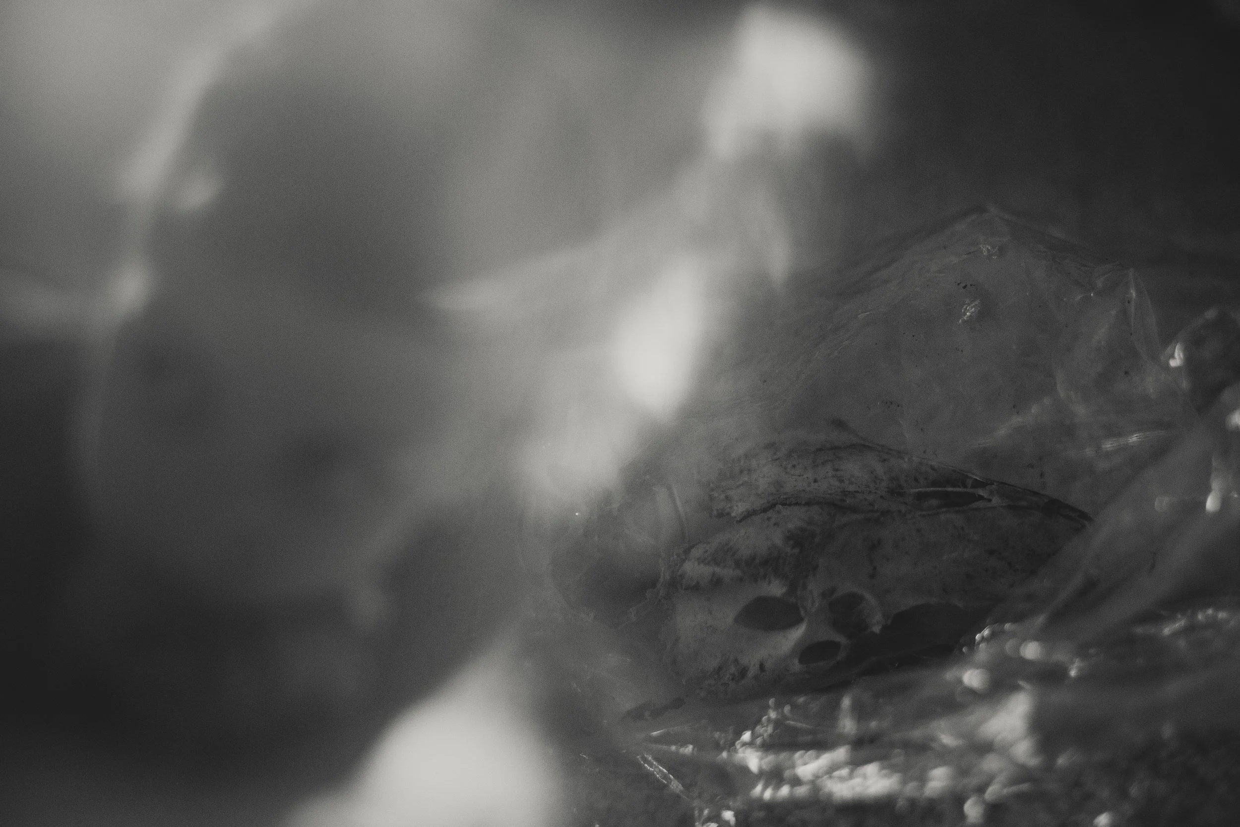 AY2A6595-24_bw_v2.jpg