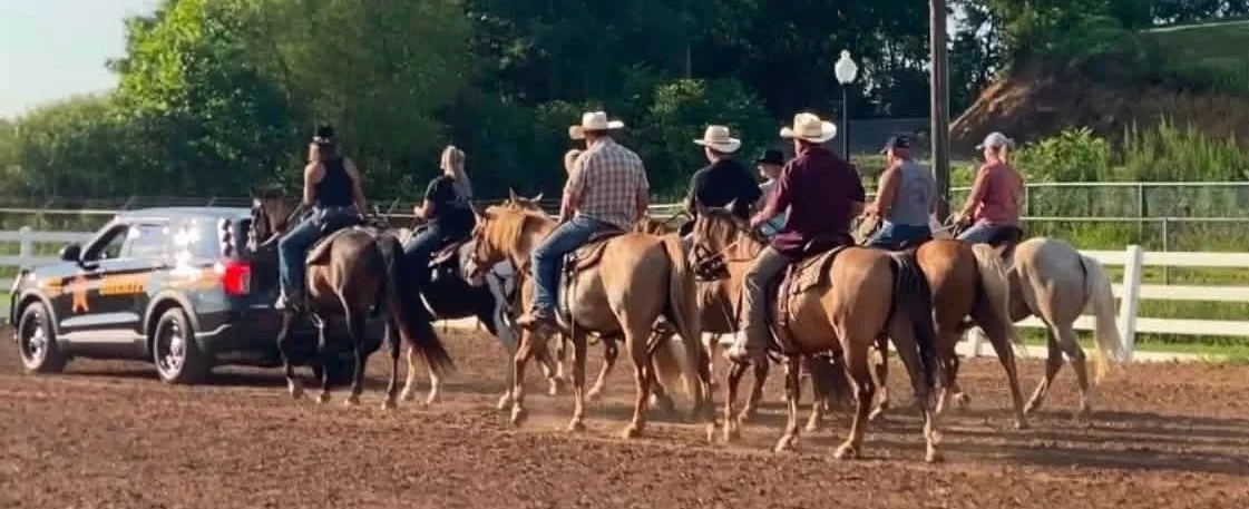 Mounted Unit team horses going through training.