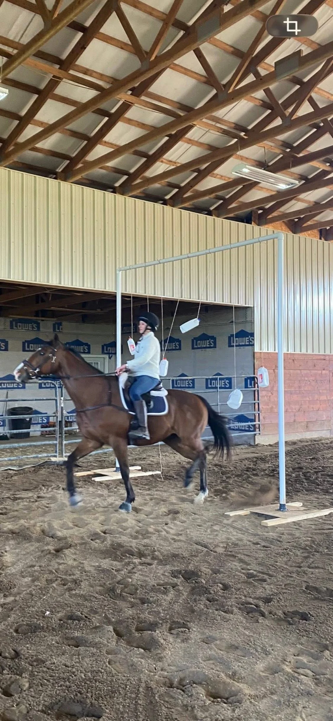 Mounted Unit team horses going through training.