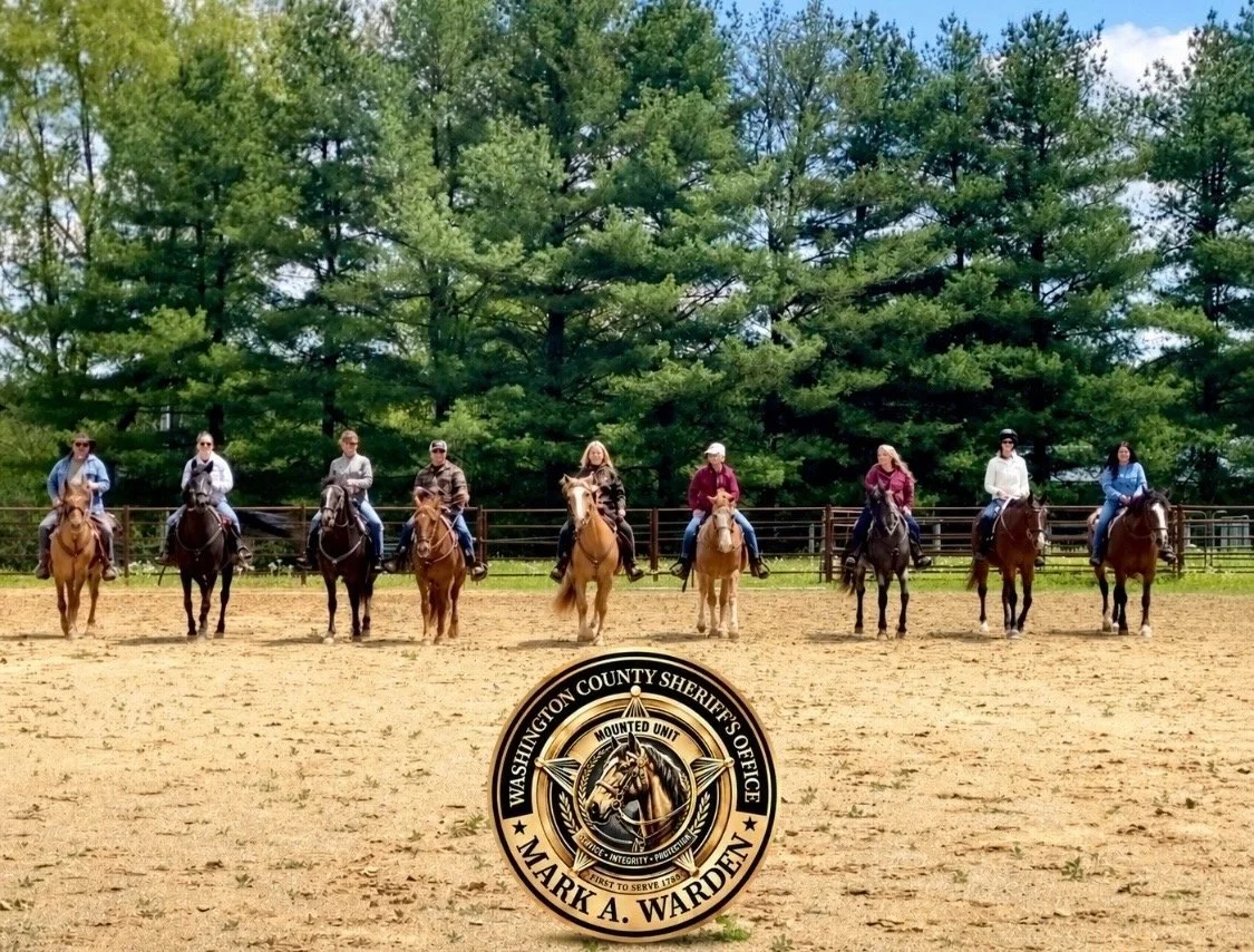 Mounted Unit team horses going through training.