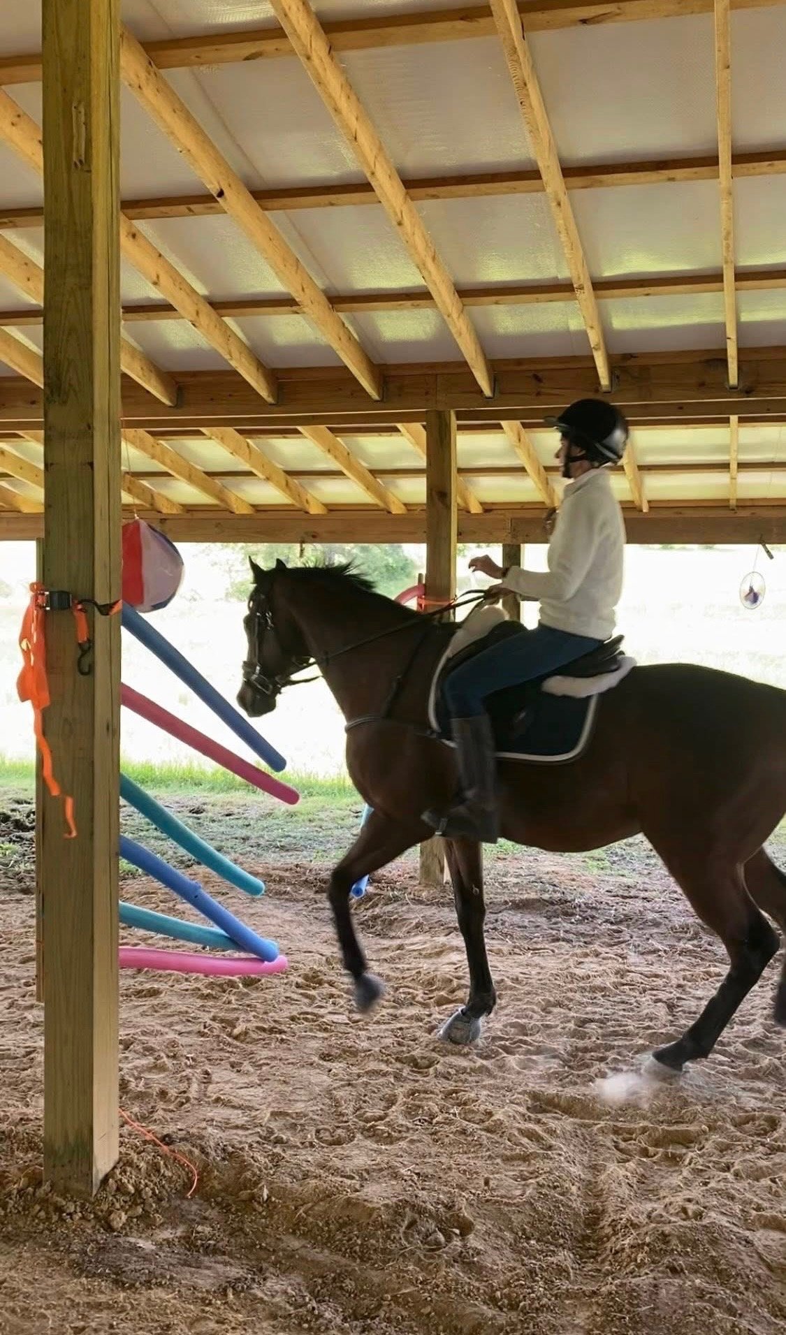 Mounted Unit team horses going through training.