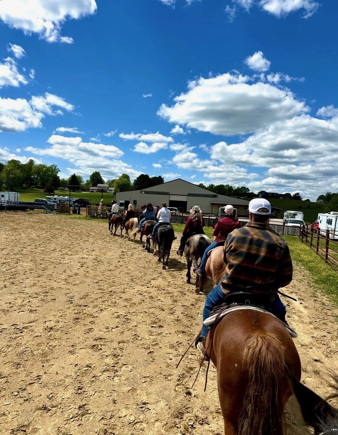 Mounted Unit team horses going through training.