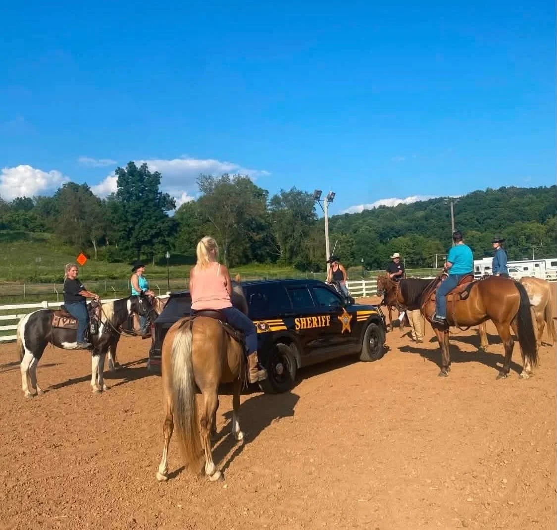 Mounted Unit team horses going through training.