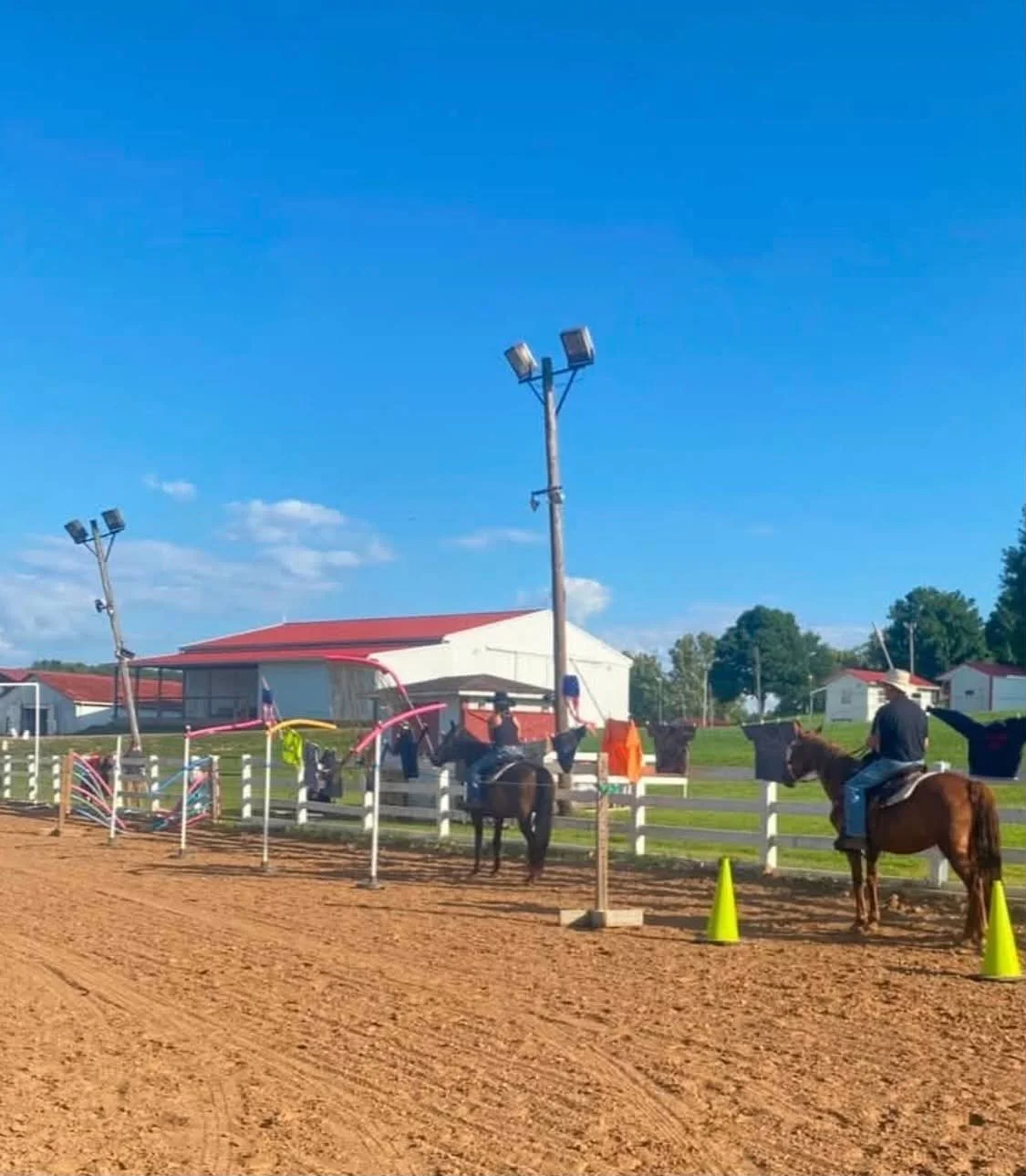 Mounted Unit team horses going through training.