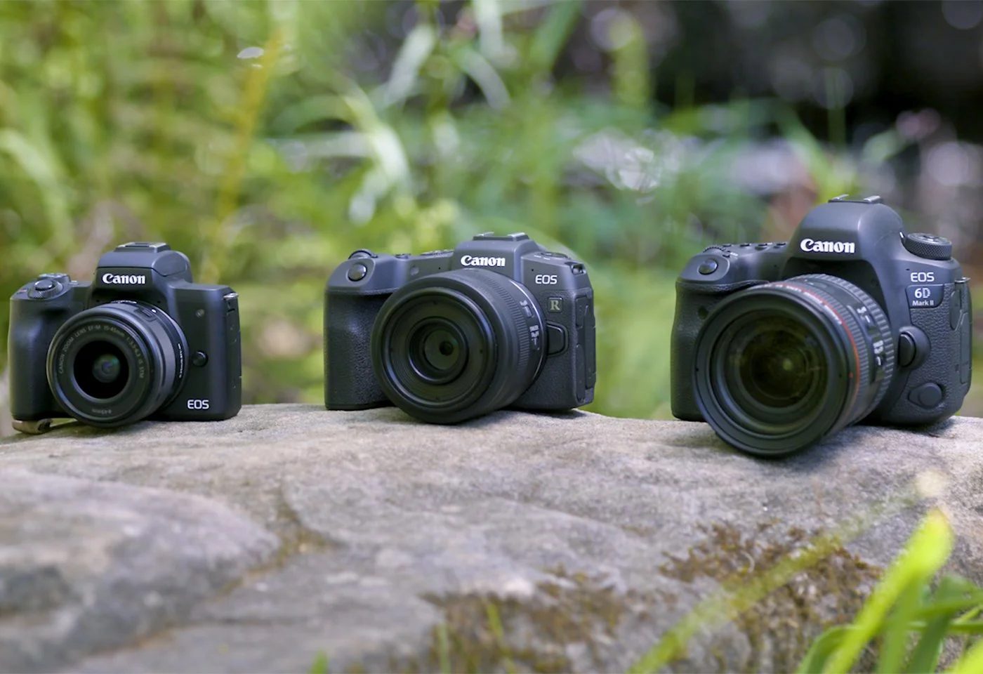 Qual Câmera Escolher? Comparação entre DSLRs, Mirrorless e Câmeras de Cinema 
